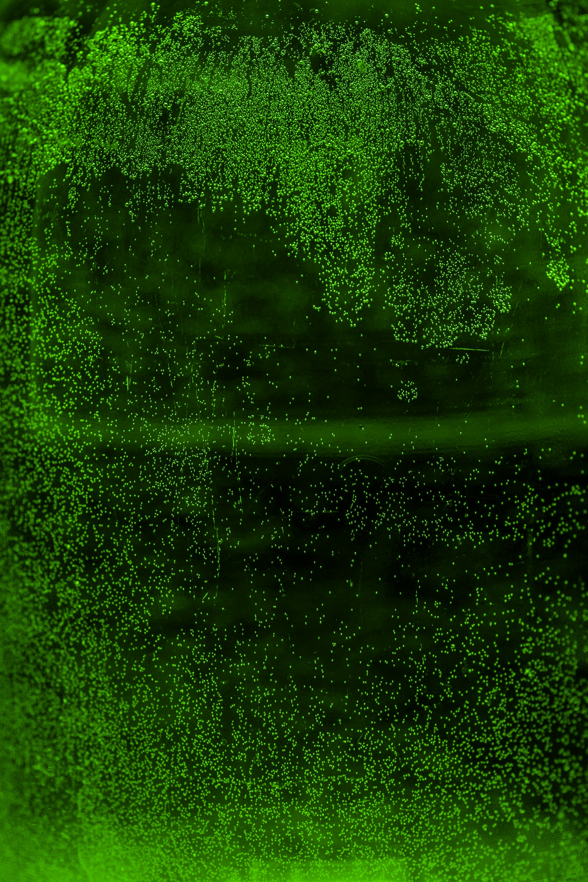 Photo by hayko_badalyan