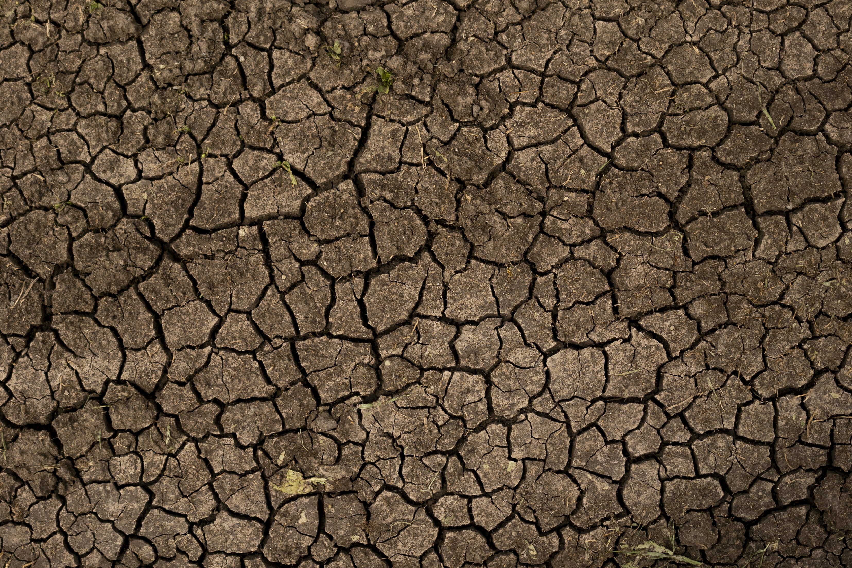 Photo by hayko_badalyan