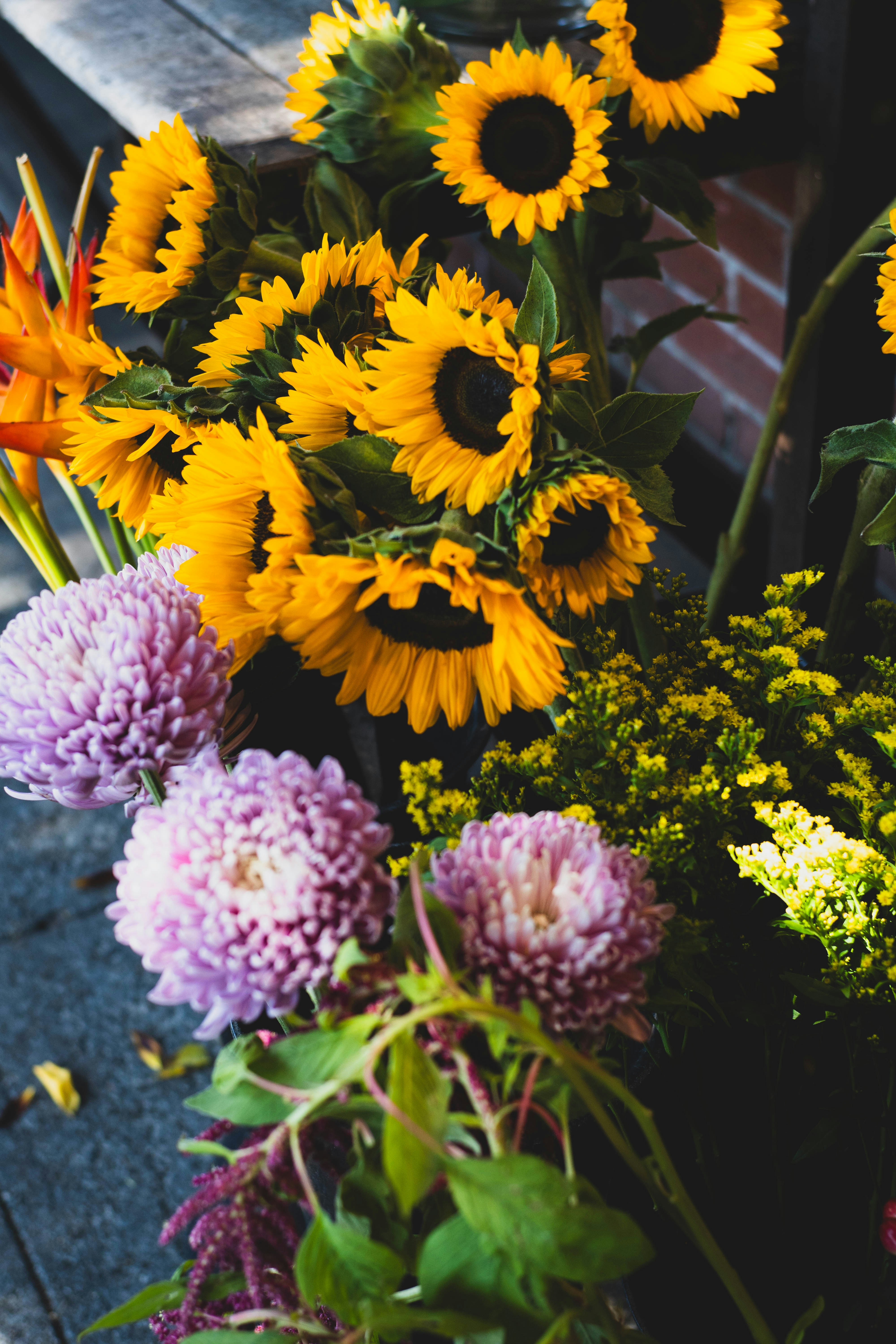 Photo by madeline_sd