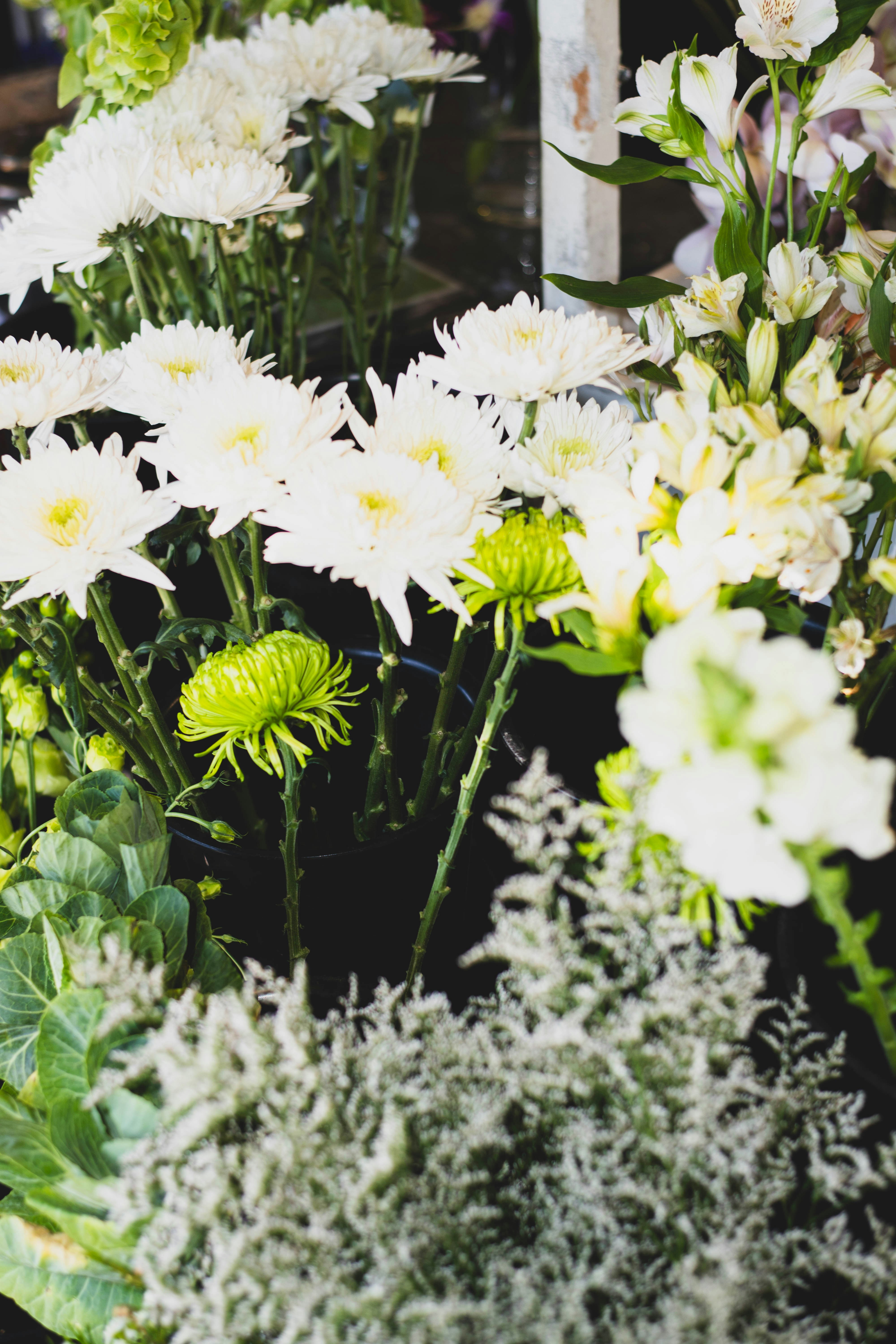 Photo by madeline_sd