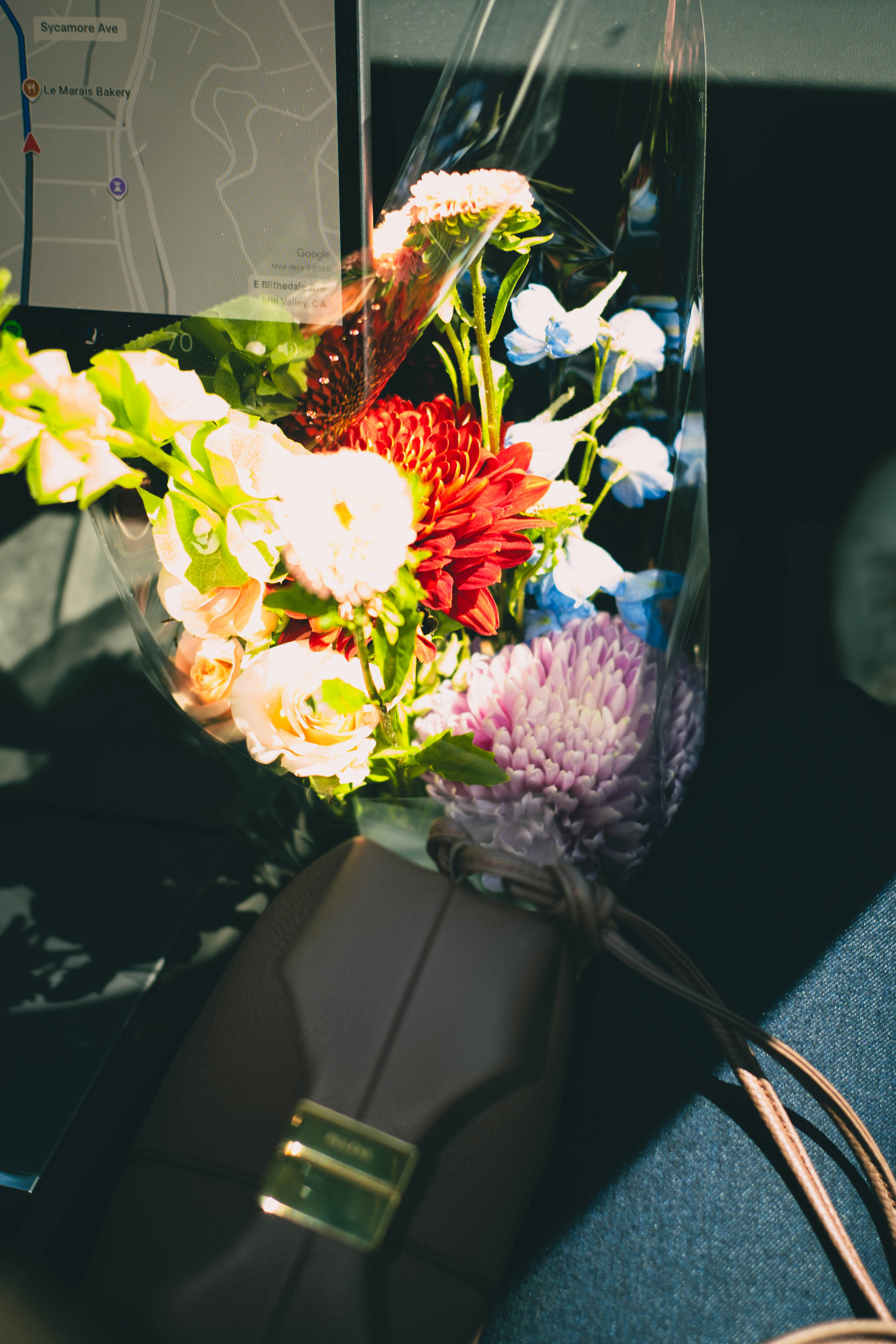 Photo by madeline_sd