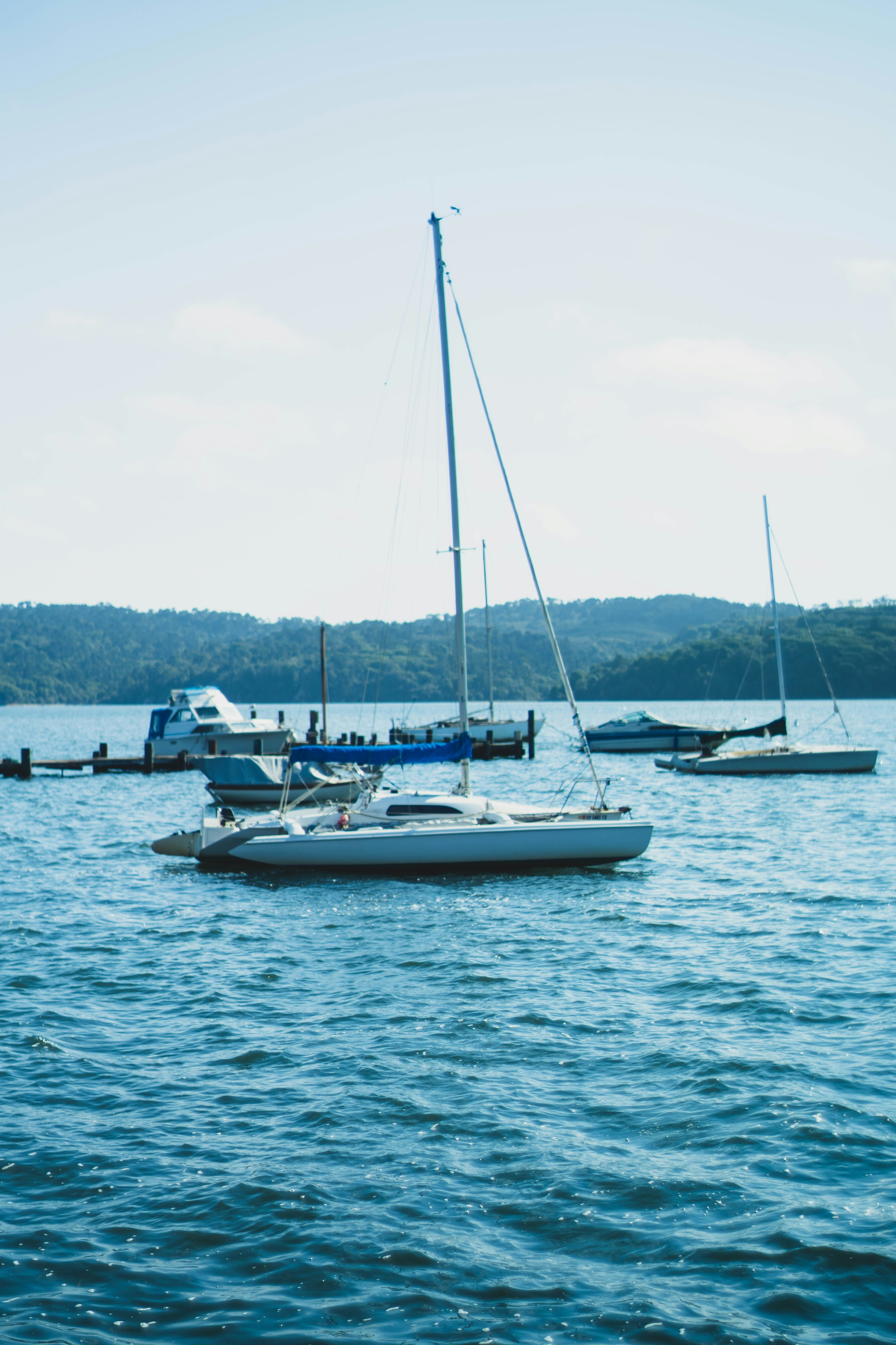 Photo by madeline_sd