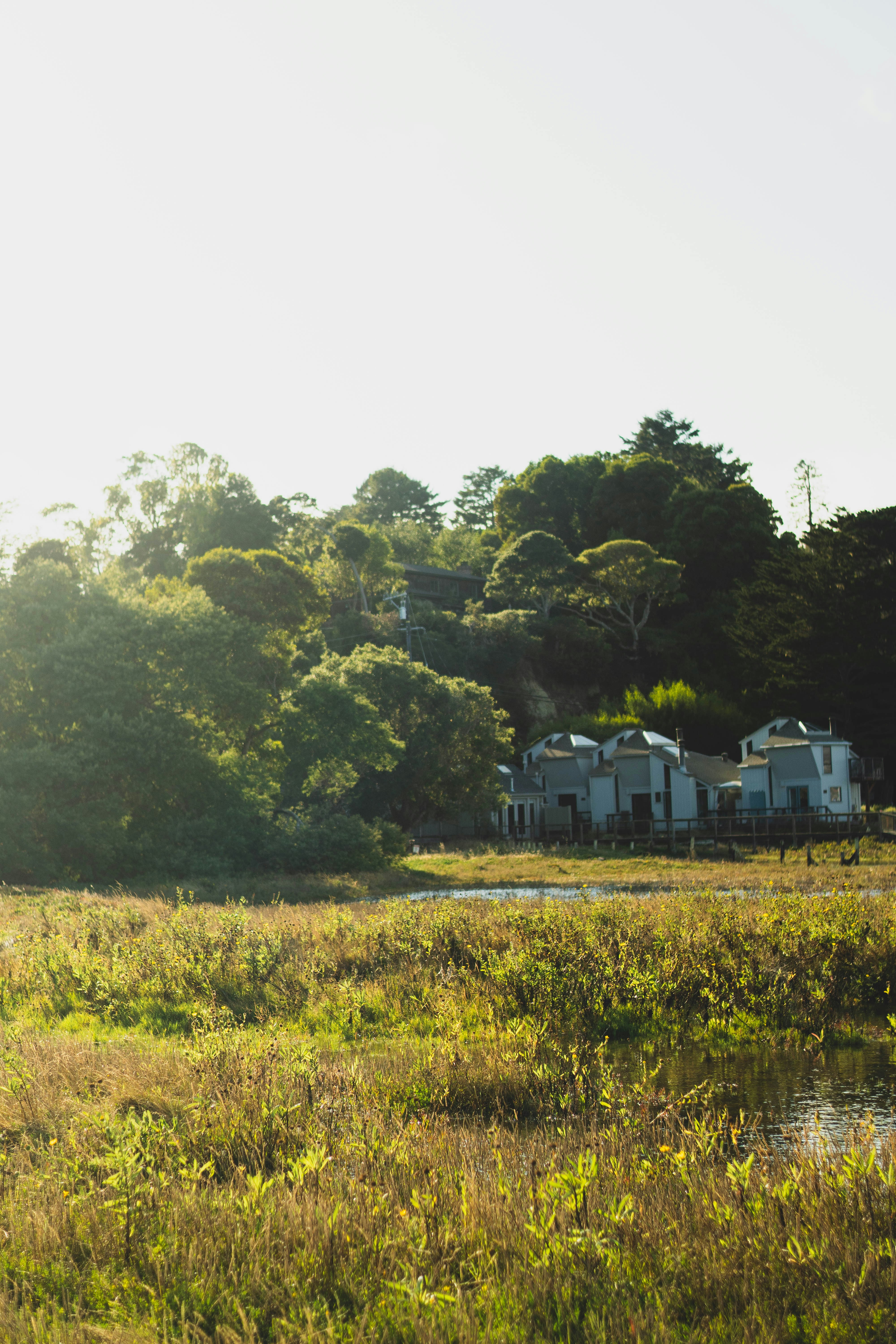 Photo by madeline_sd