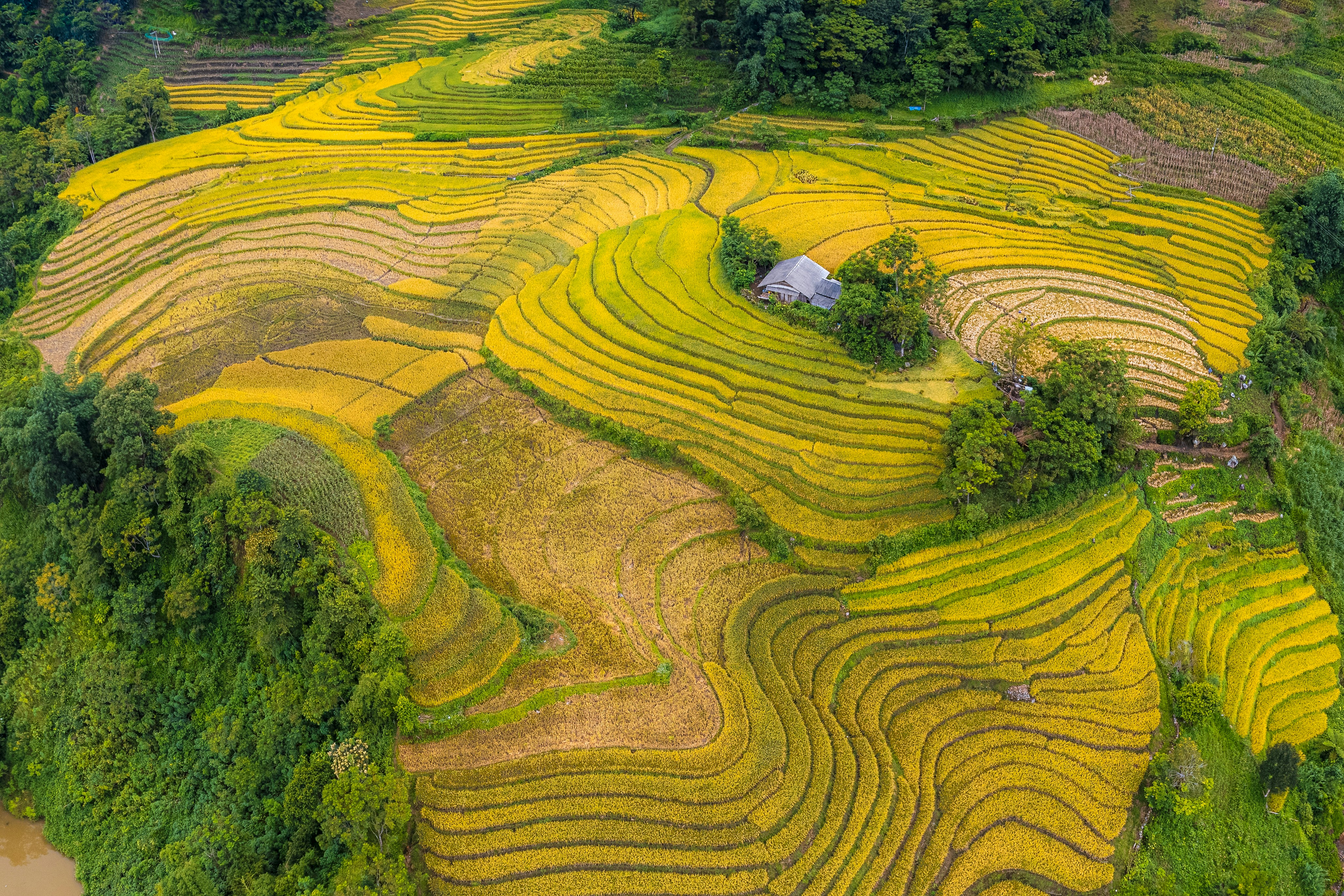 Photo by huynguyen_pch