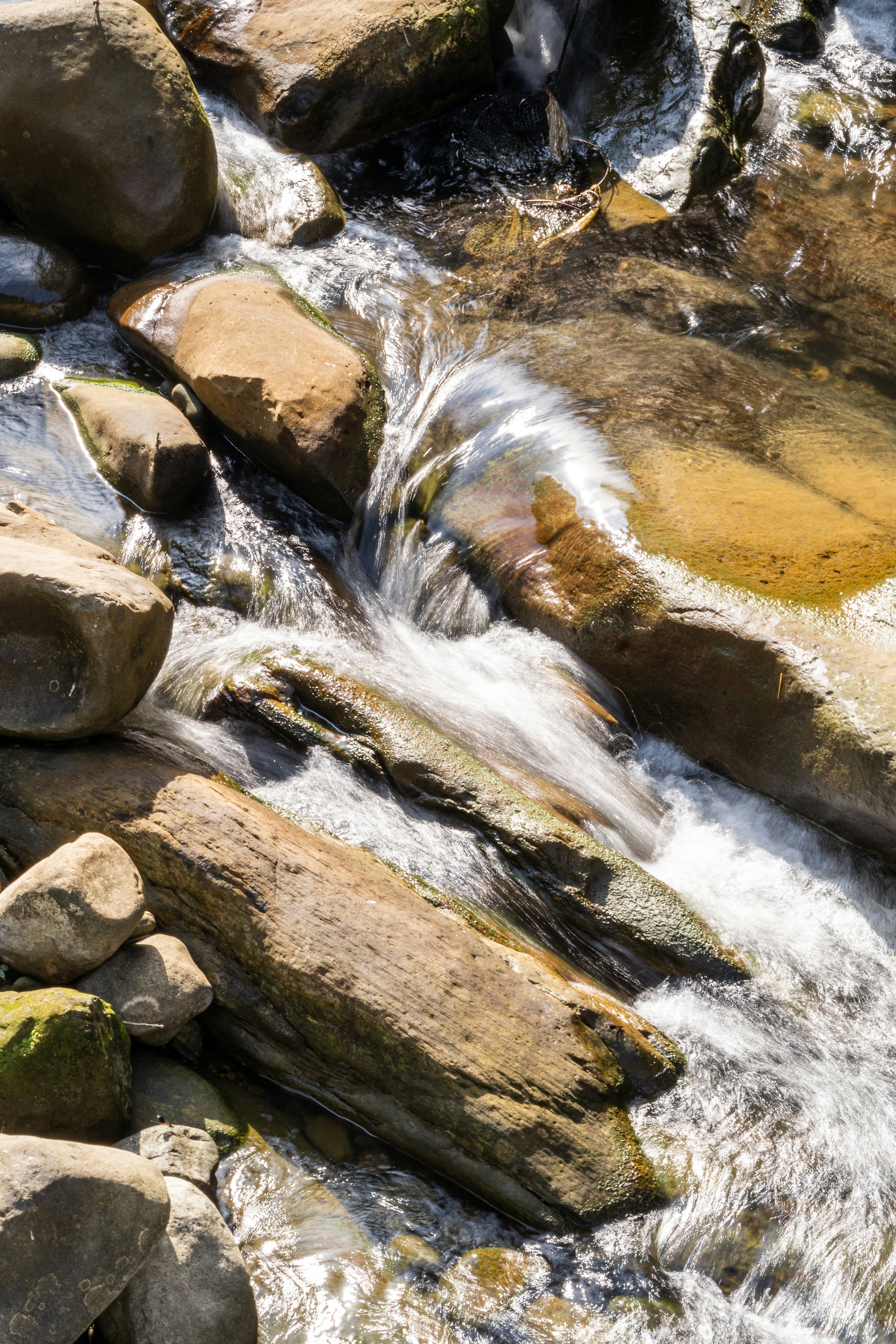 Water flowing over smooth river stones and driftwood