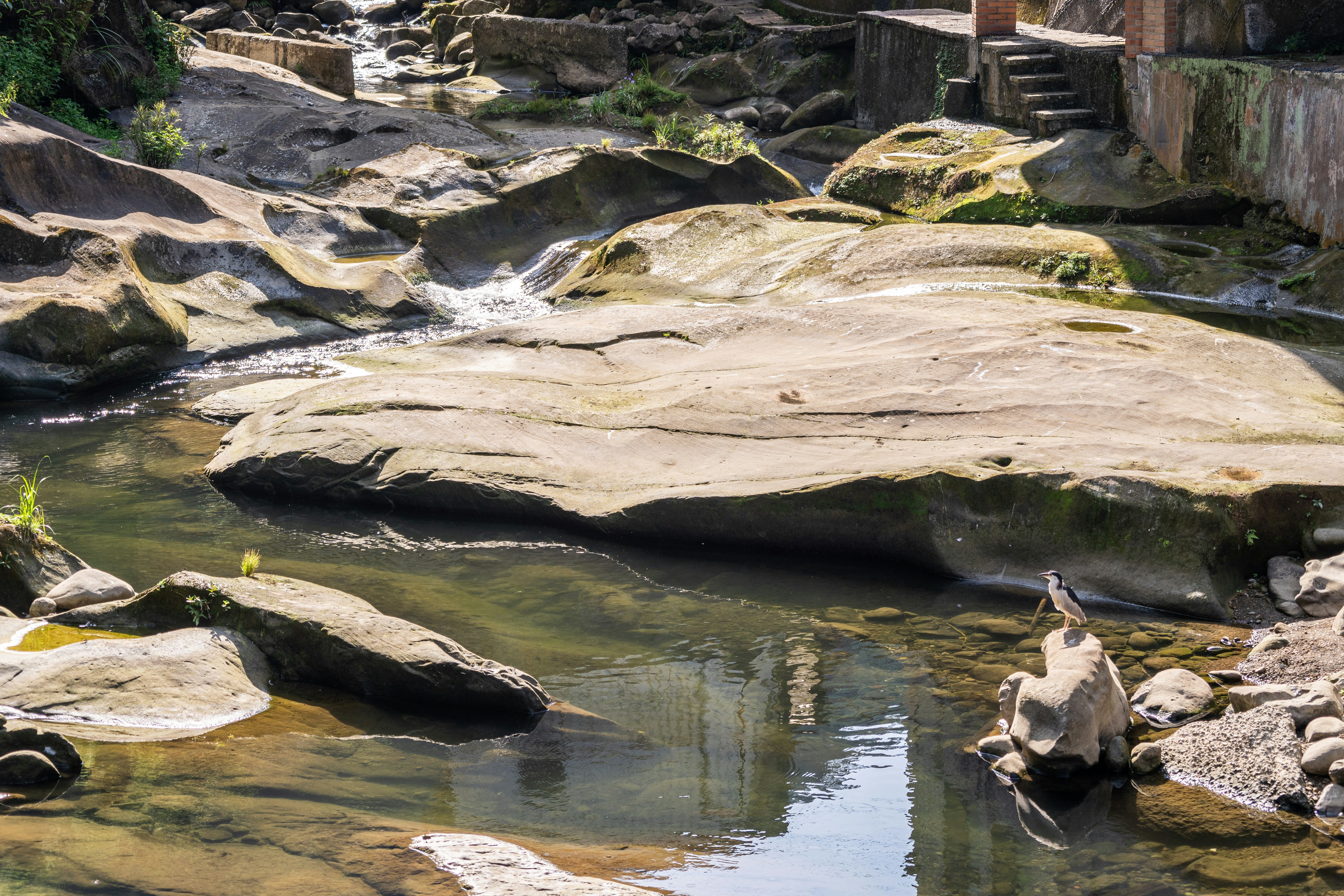 A clear stream flows over smooth rocks in a forest.