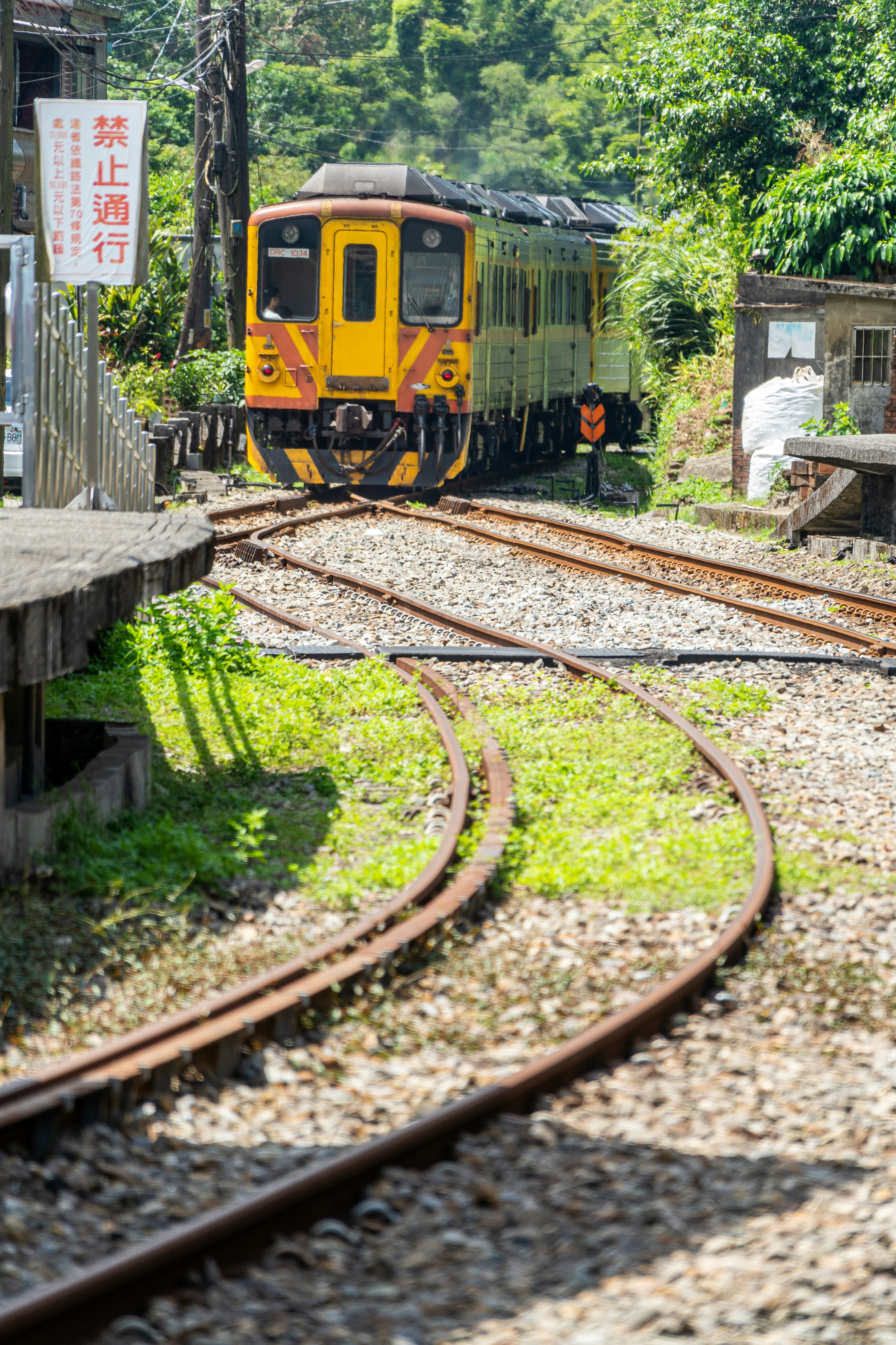 Photo by winstonchen