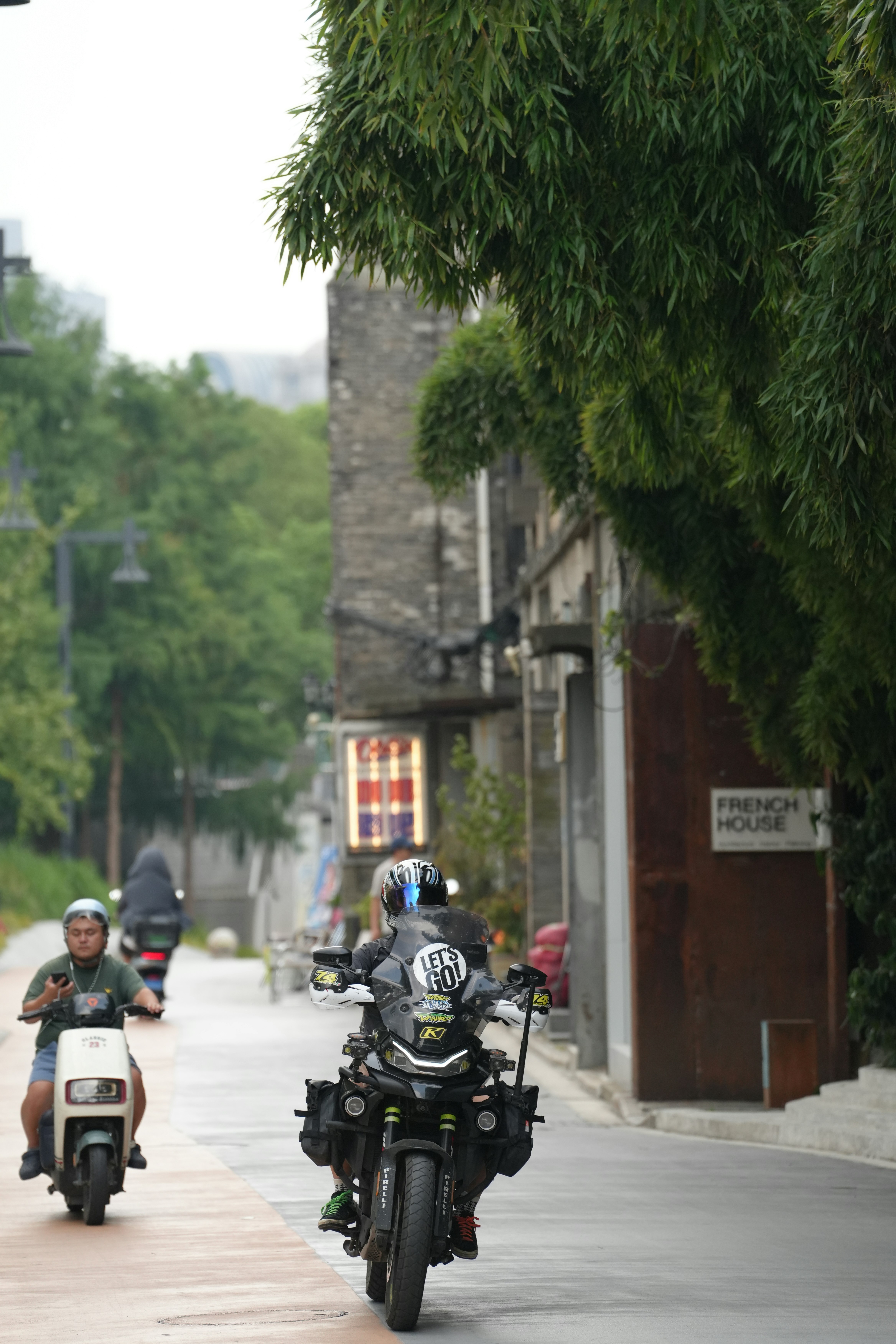 Motorcyclists ride down a tree-lined street.