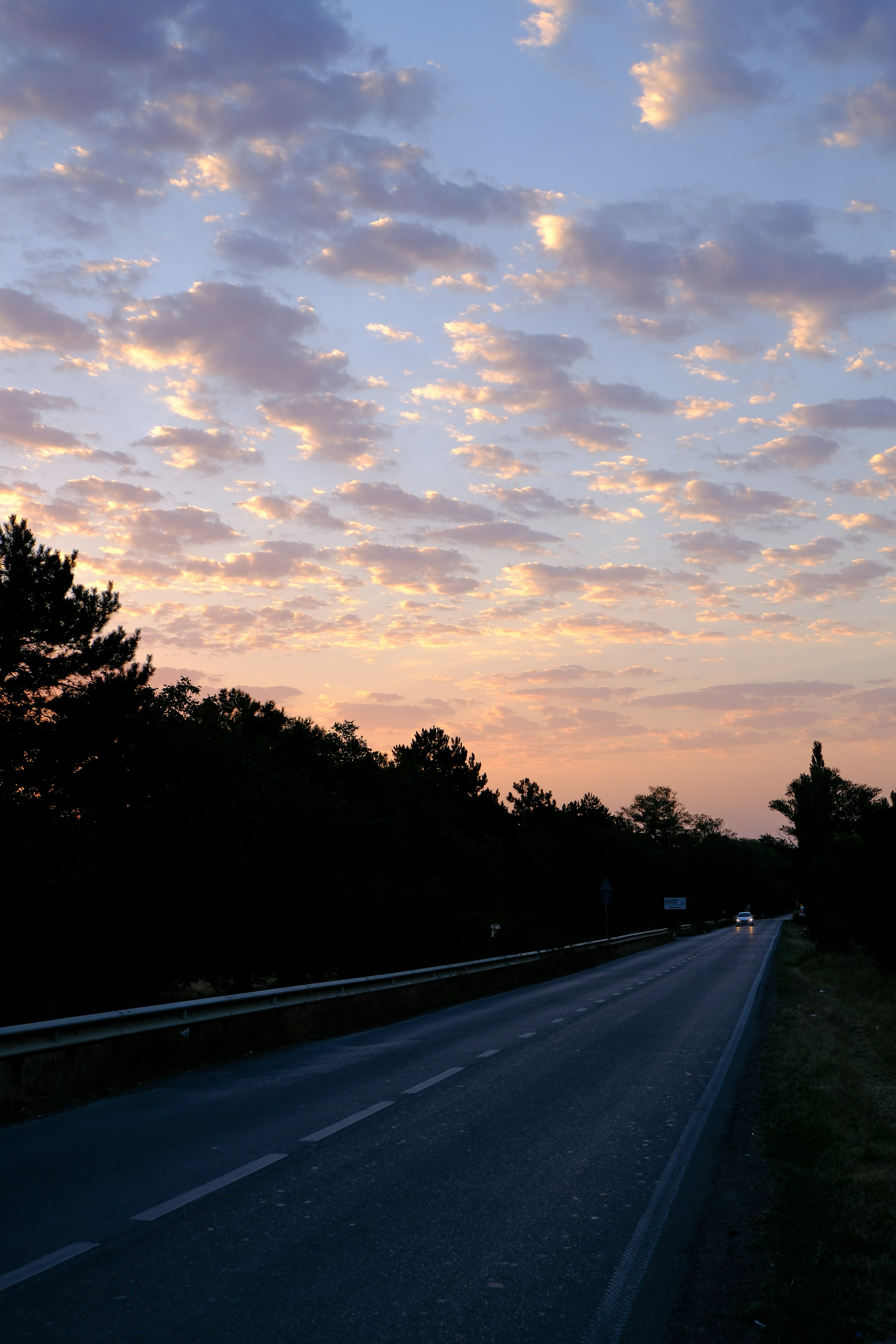 Photo by nmdgull