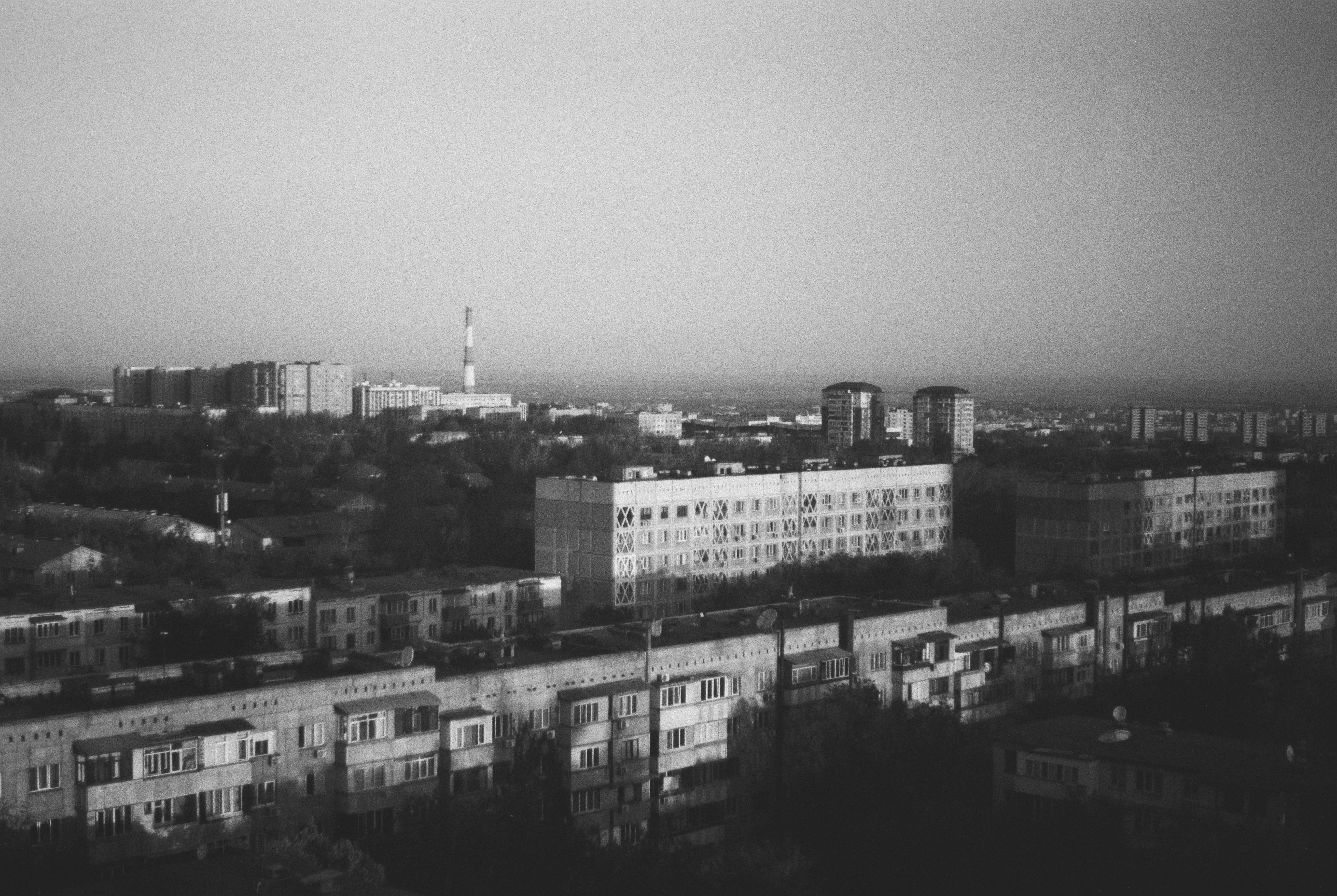 Photo by dmitrii_filatov