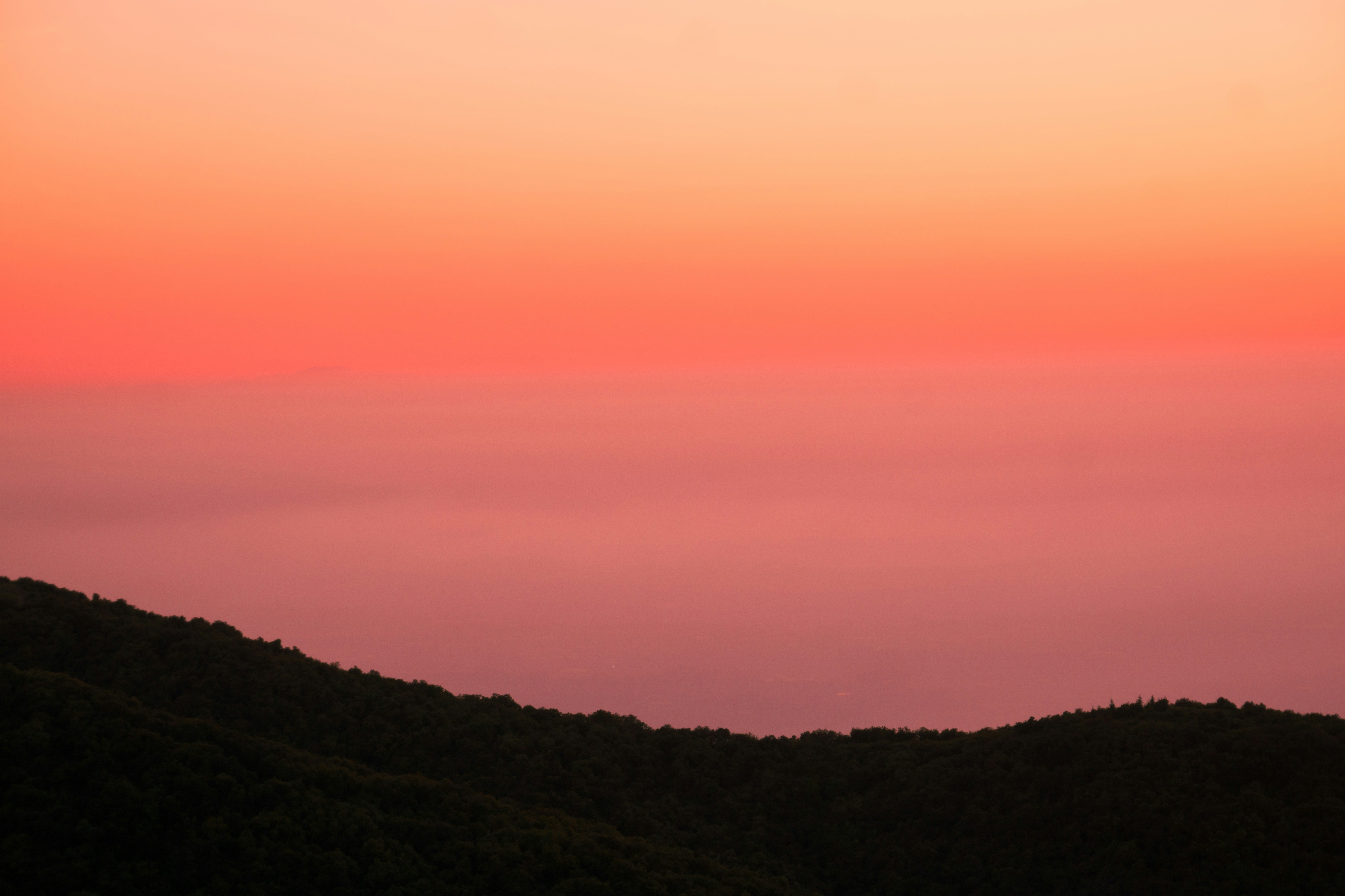 Photo by fethibenattallah