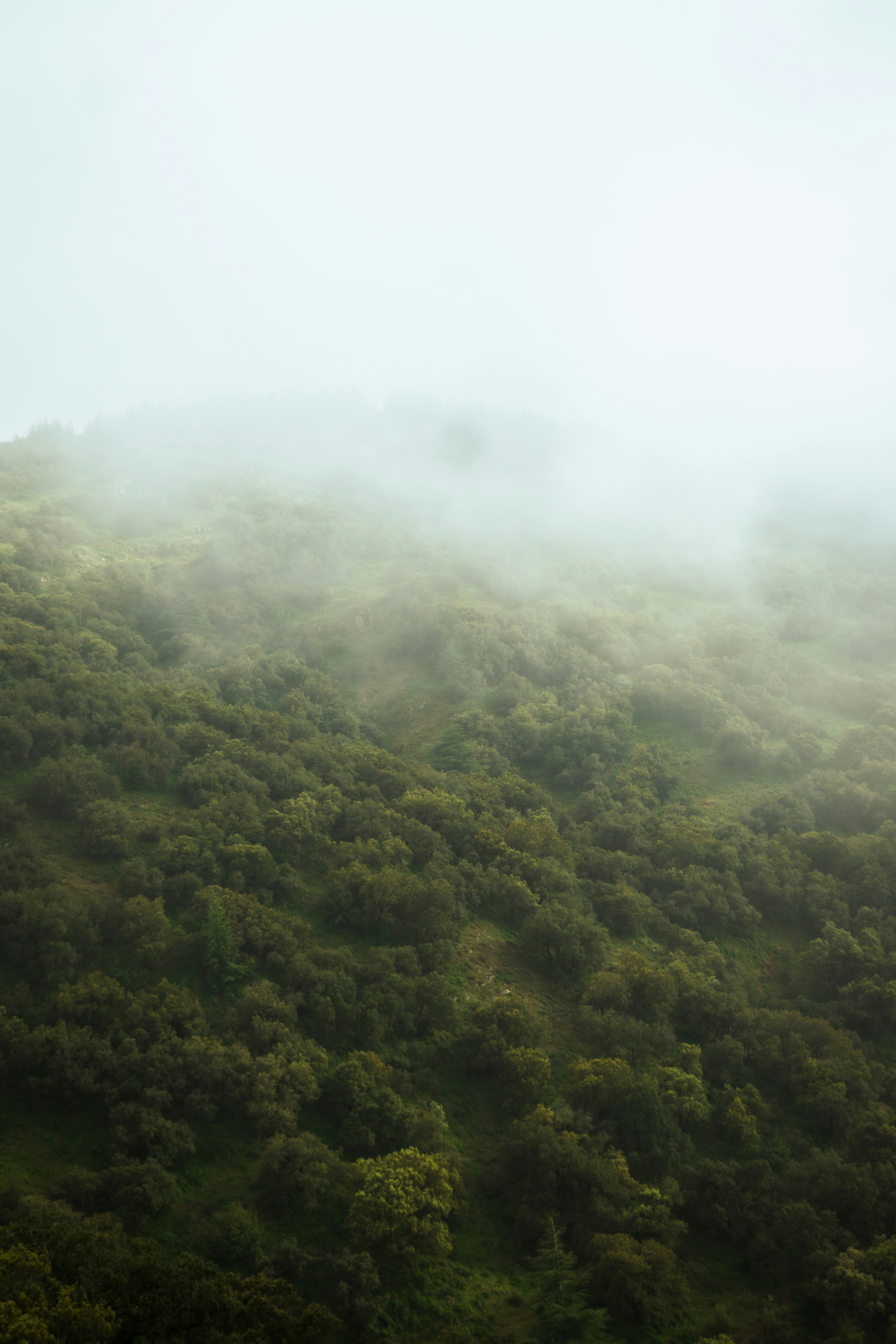 Photo by fethibenattallah