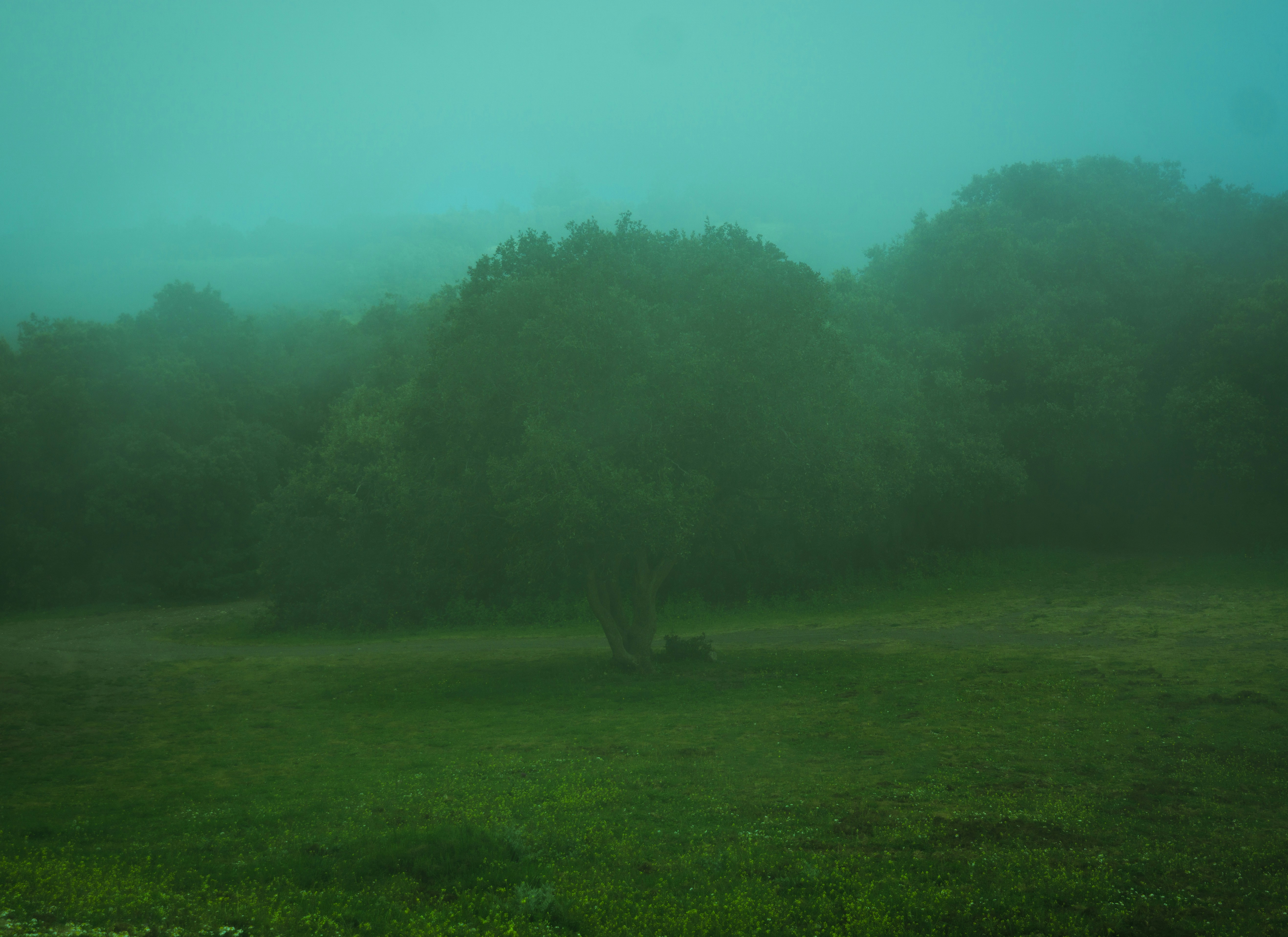 Photo by fethibenattallah