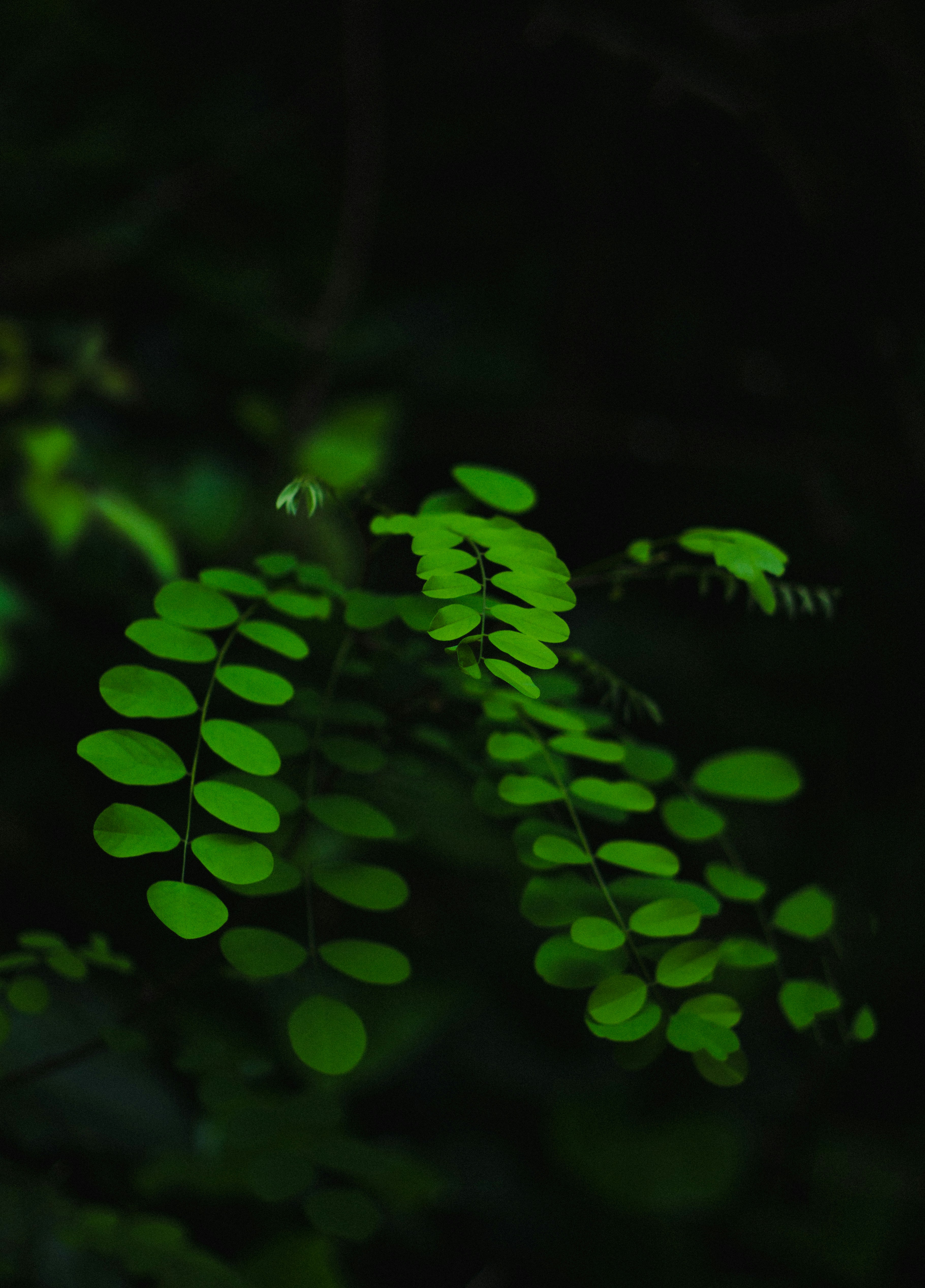 Photo by fethibenattallah