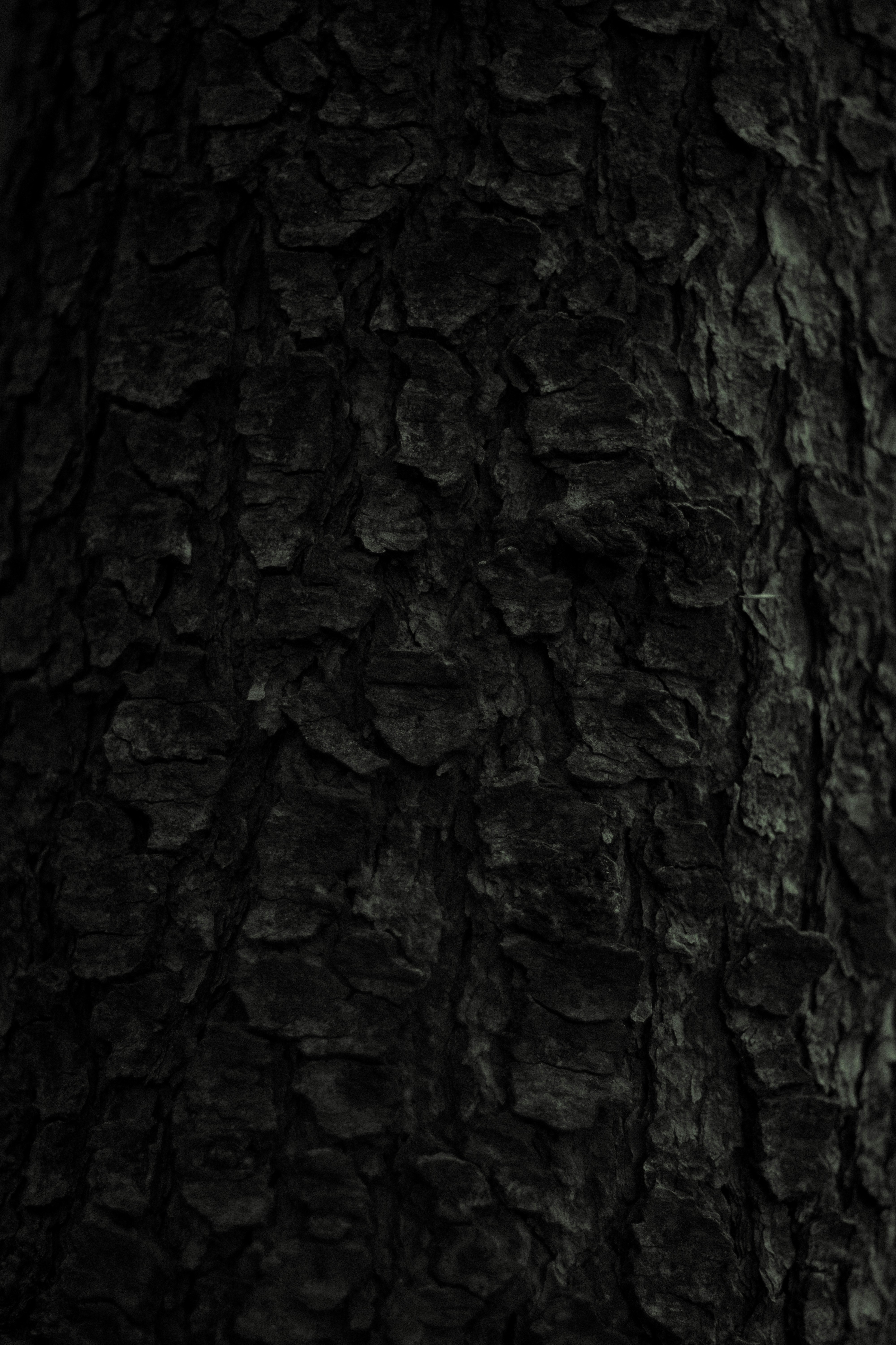 Photo by fethibenattallah