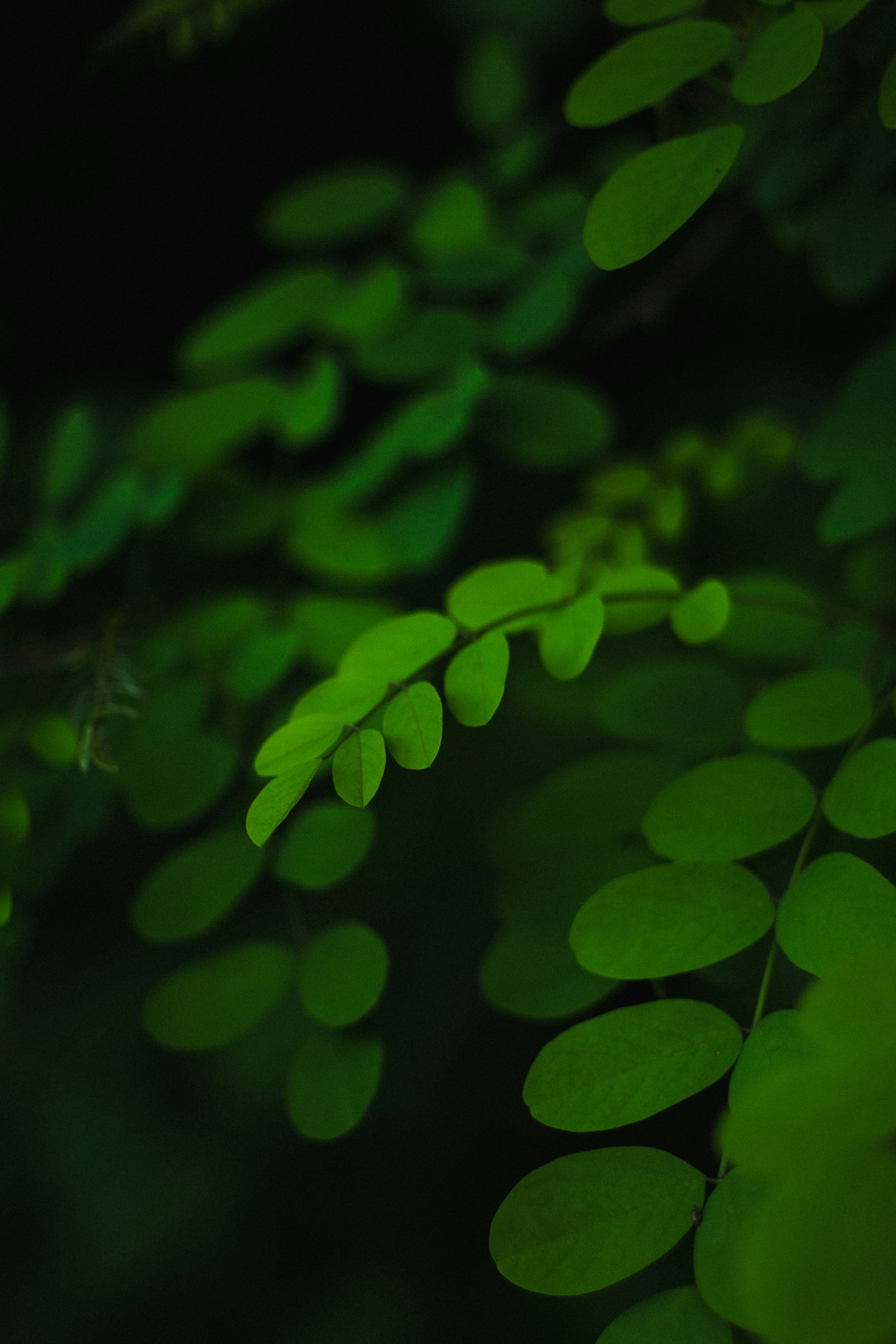 Photo by fethibenattallah