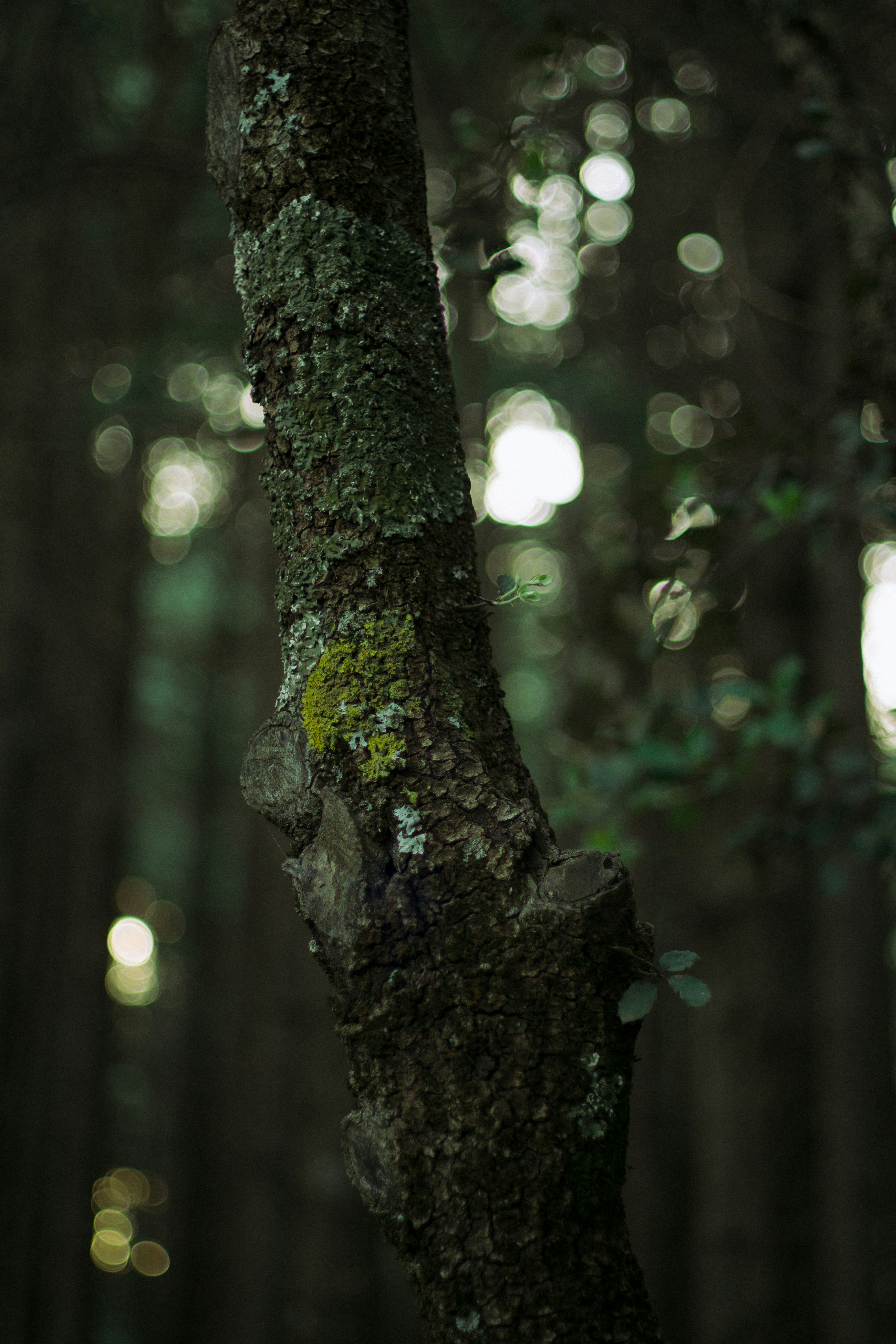 Photo by fethibenattallah