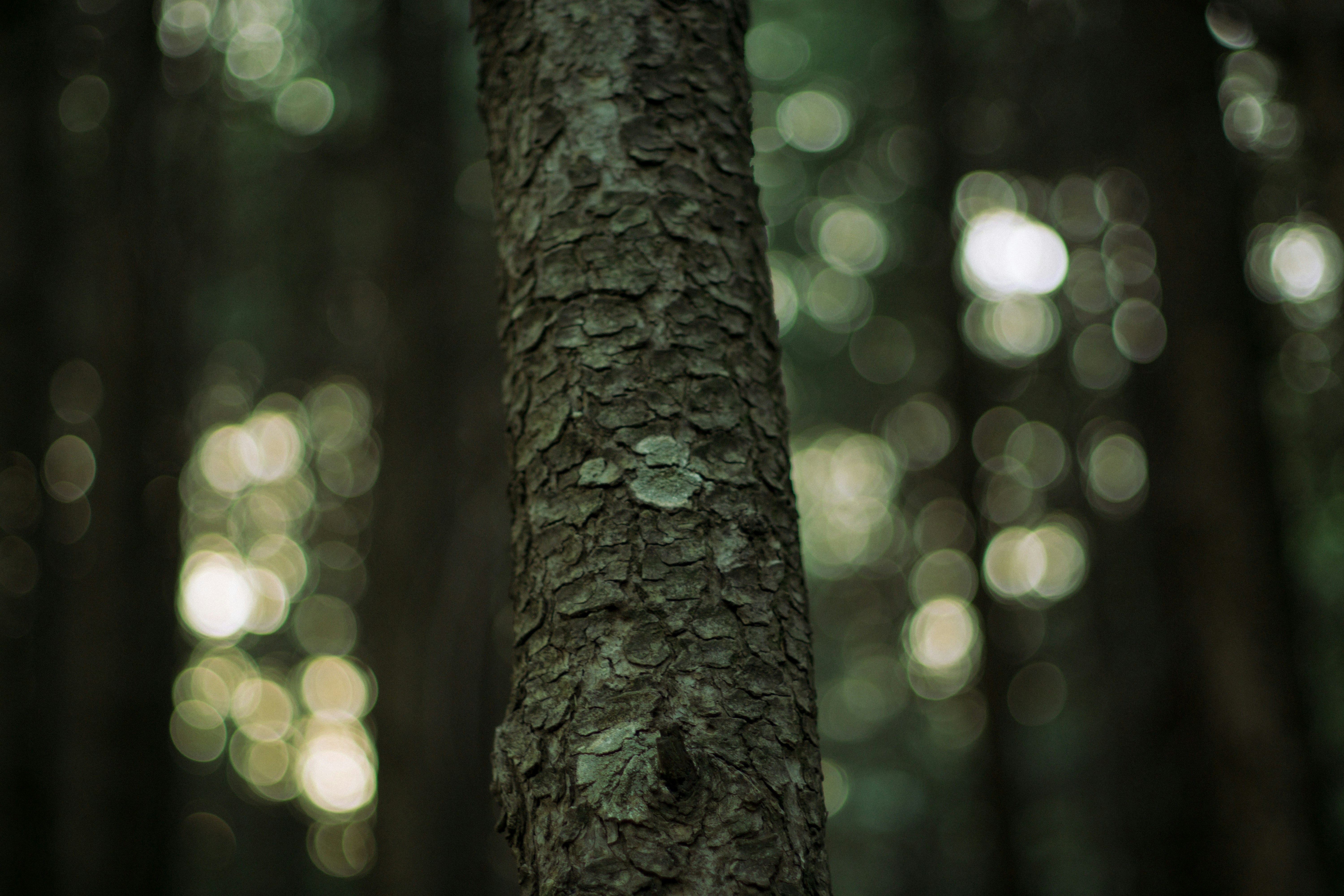 Photo by fethibenattallah