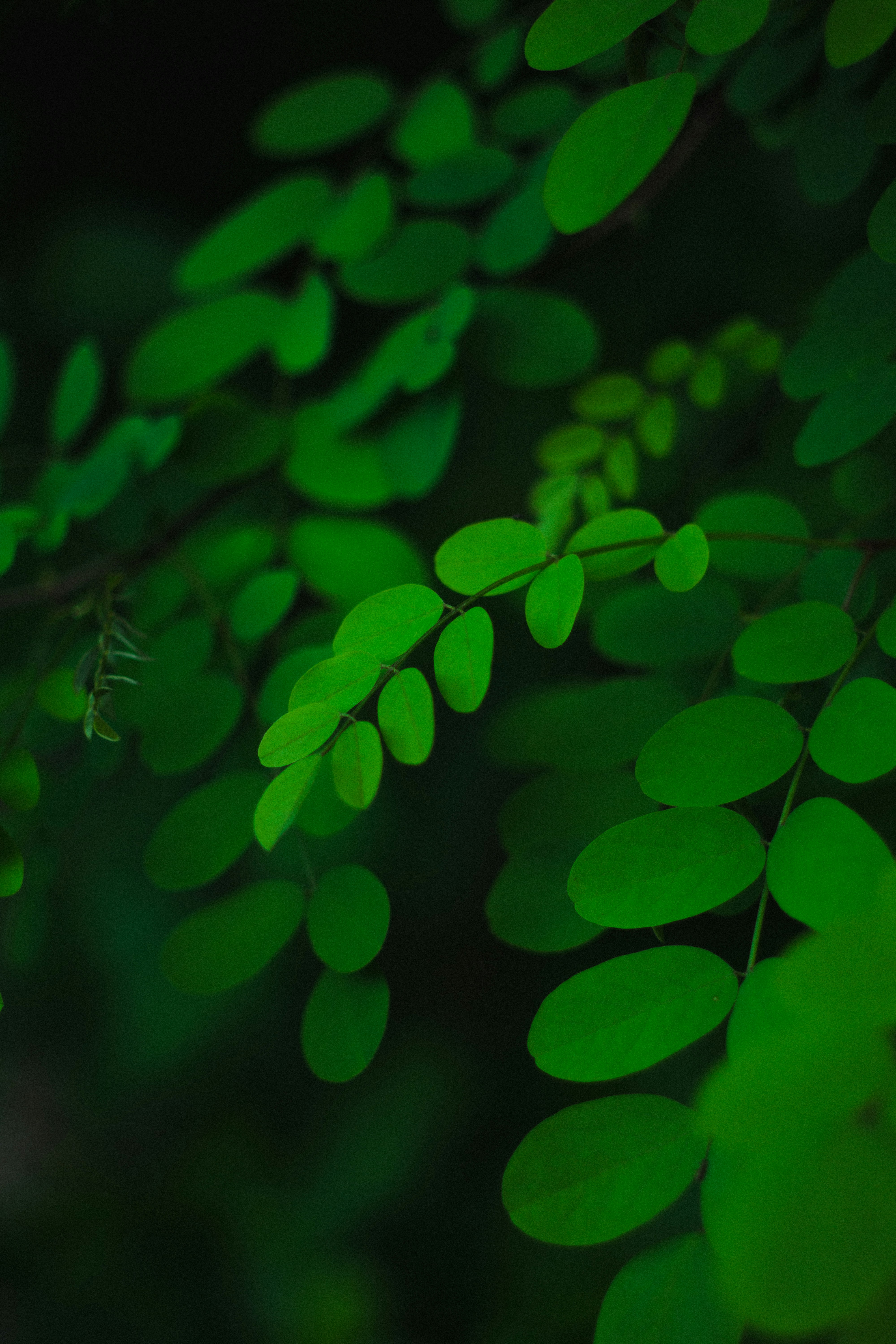 Photo by fethibenattallah