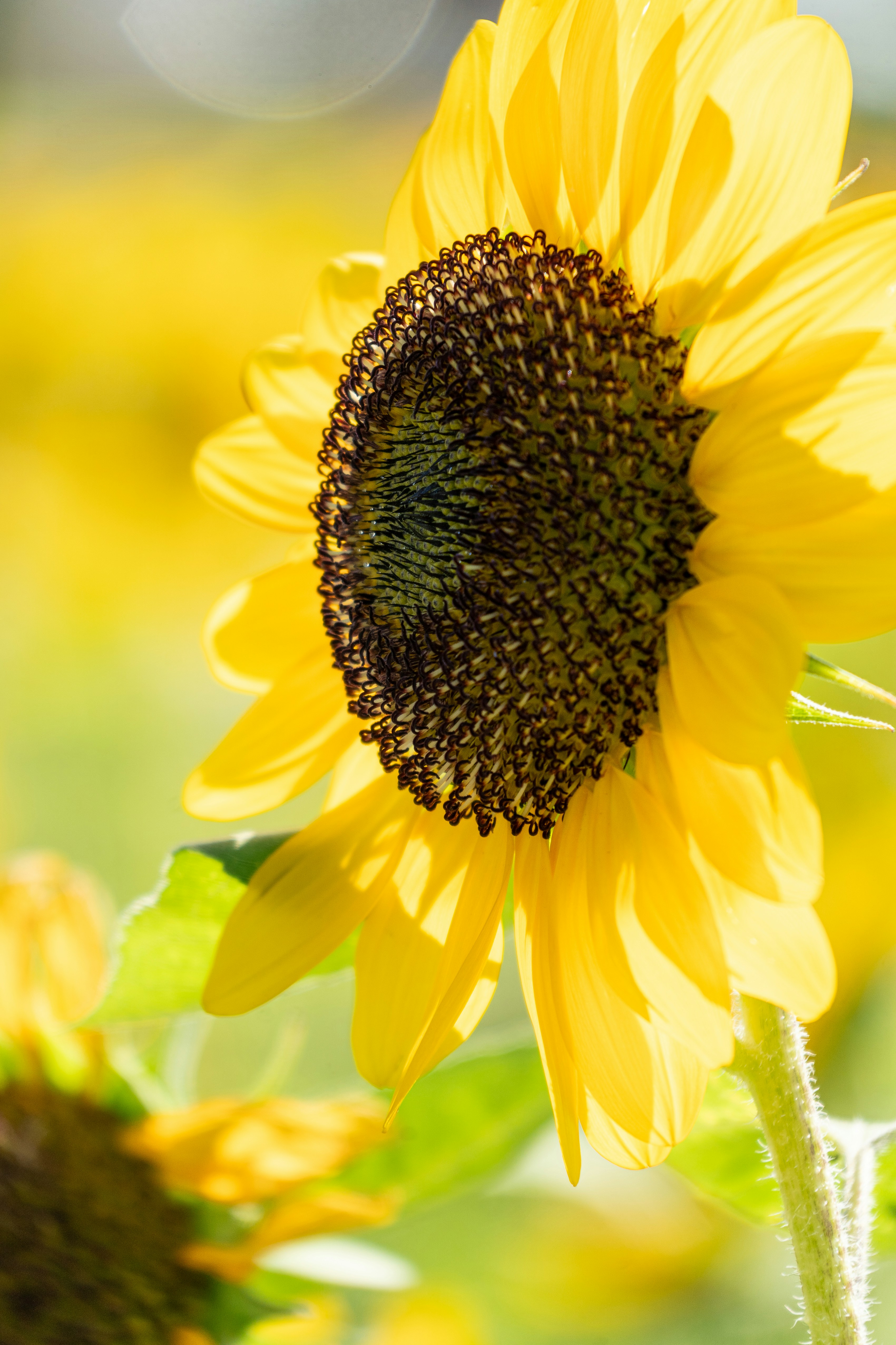 Photo by winstonchen