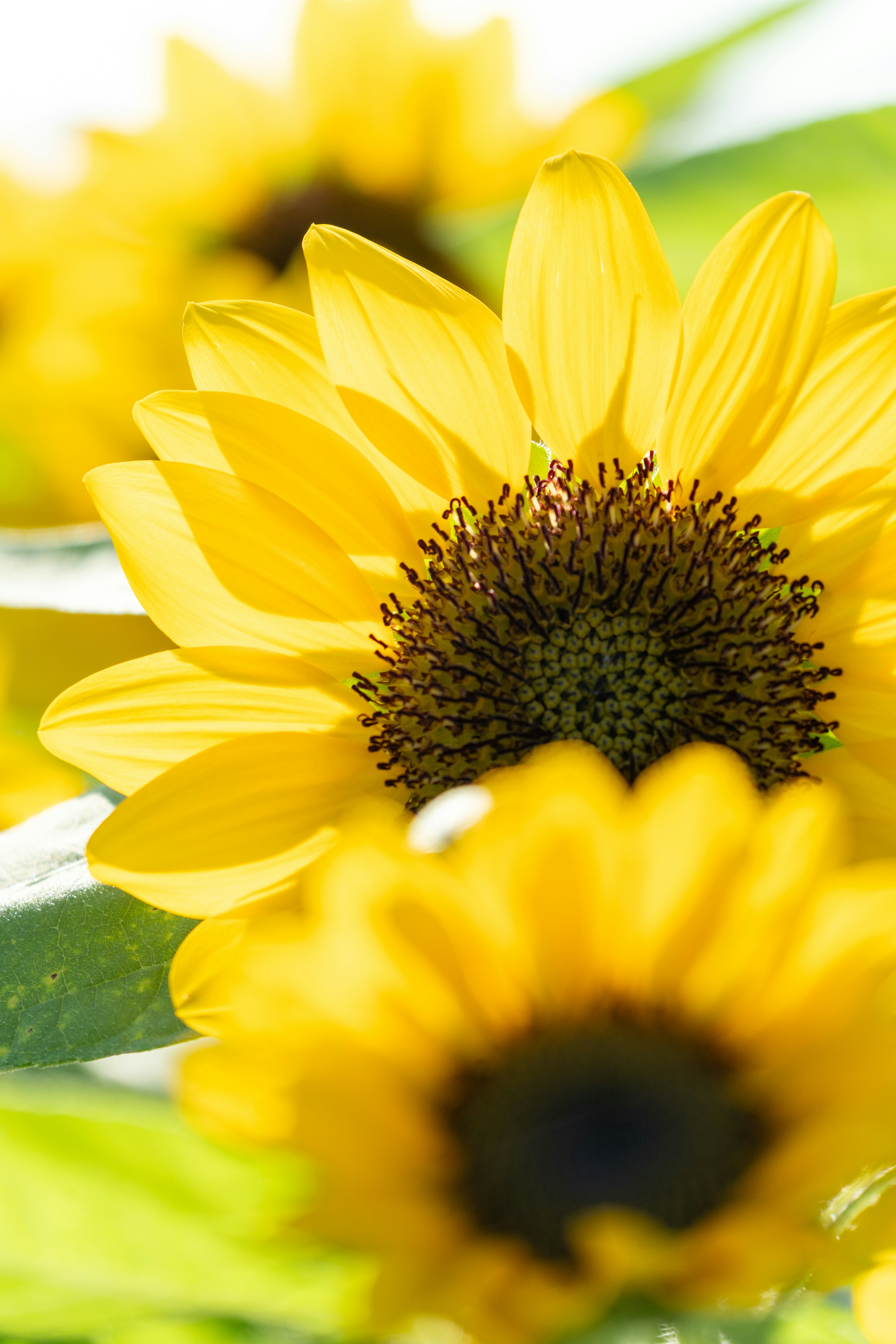 Photo by winstonchen