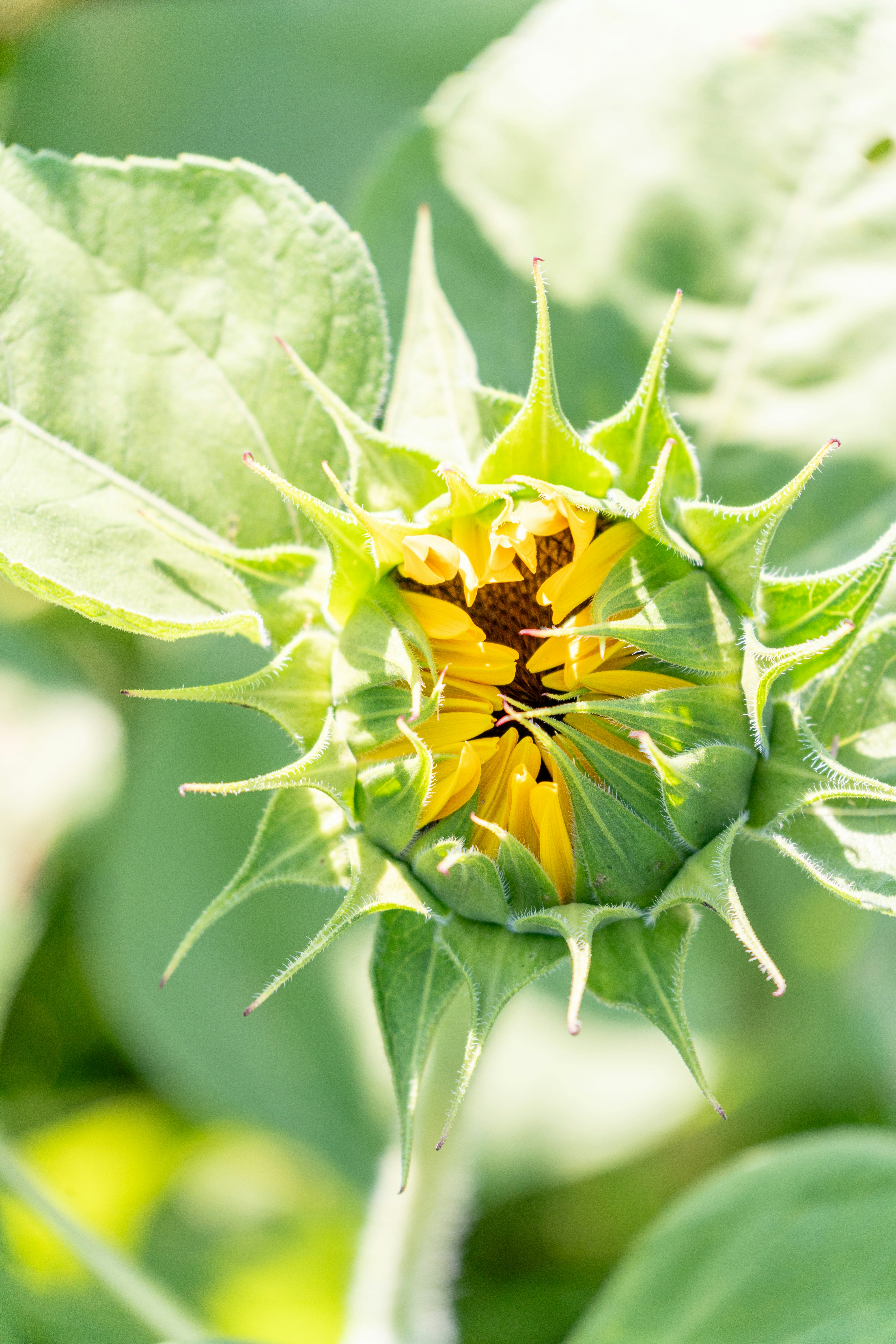 Photo by winstonchen