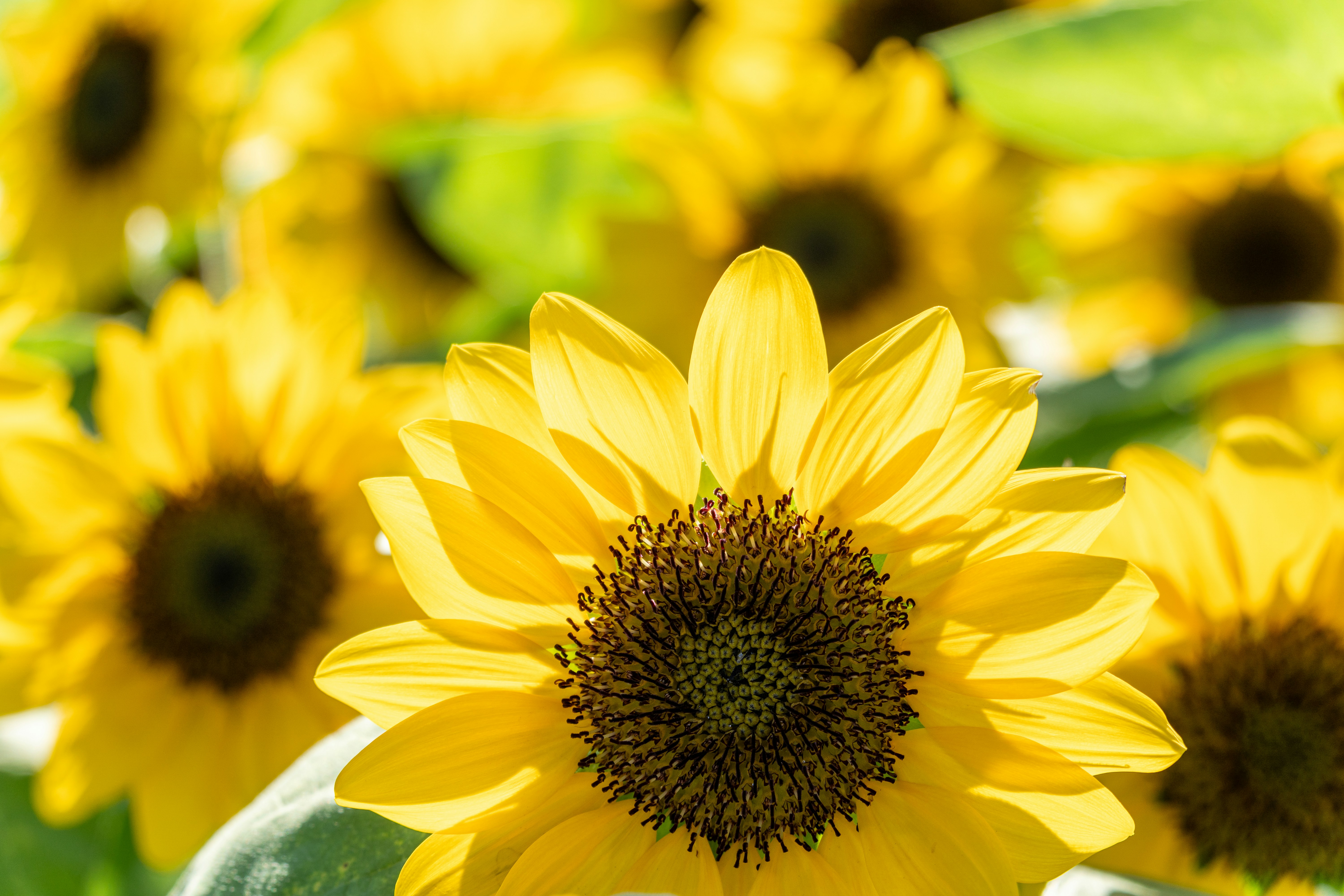 Photo by winstonchen