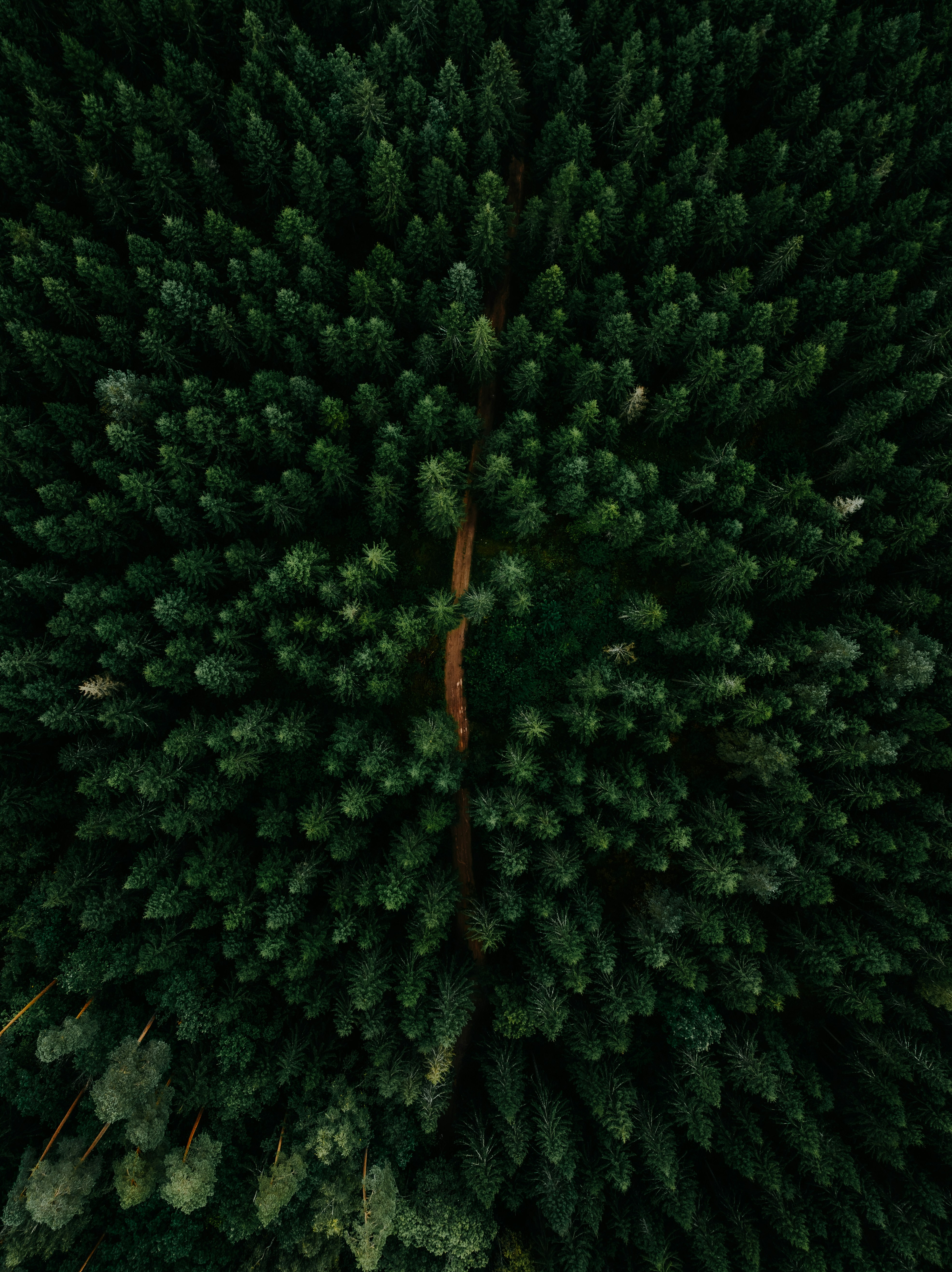 Photo by kristapsungurs