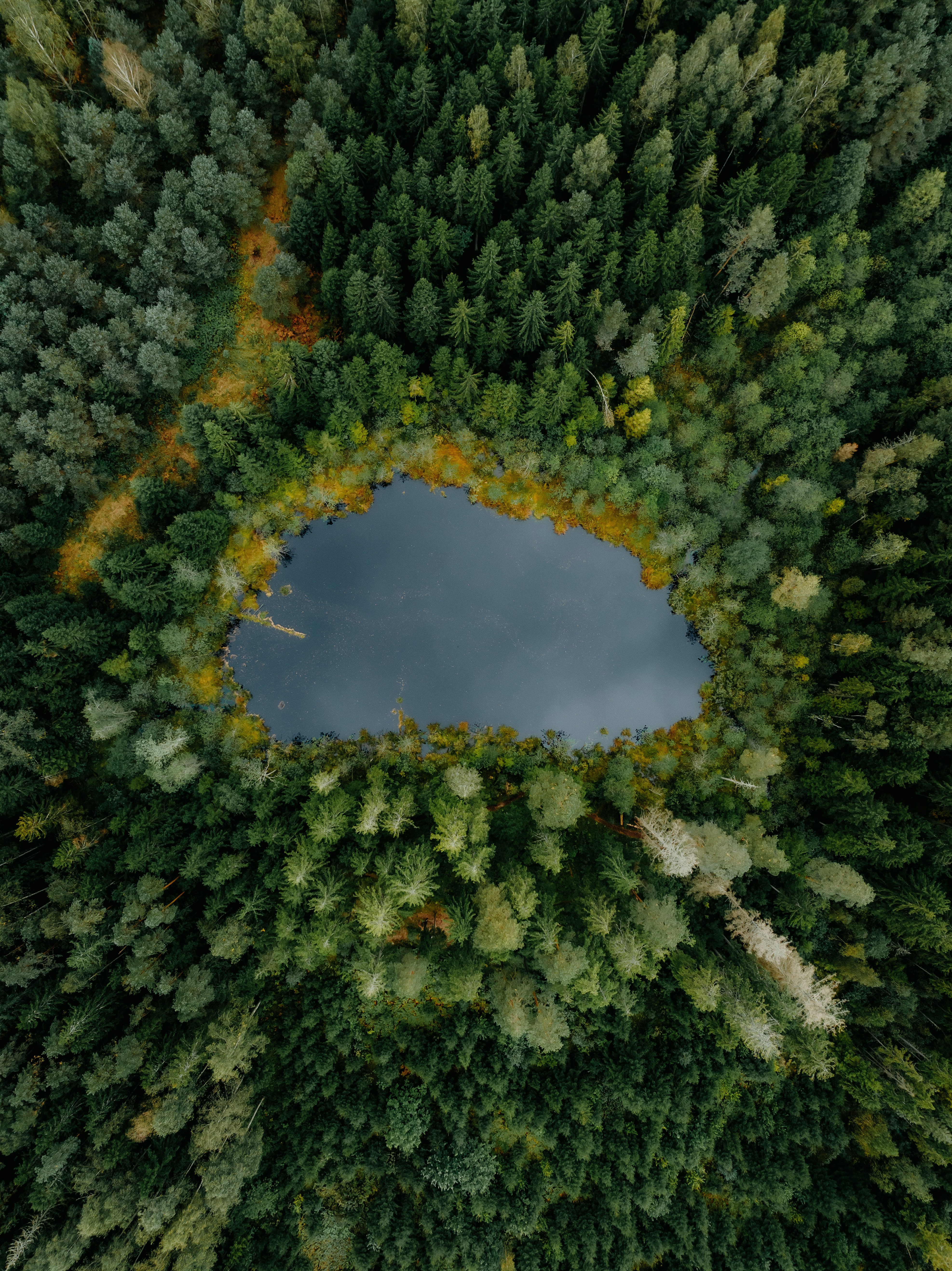 Photo by kristapsungurs