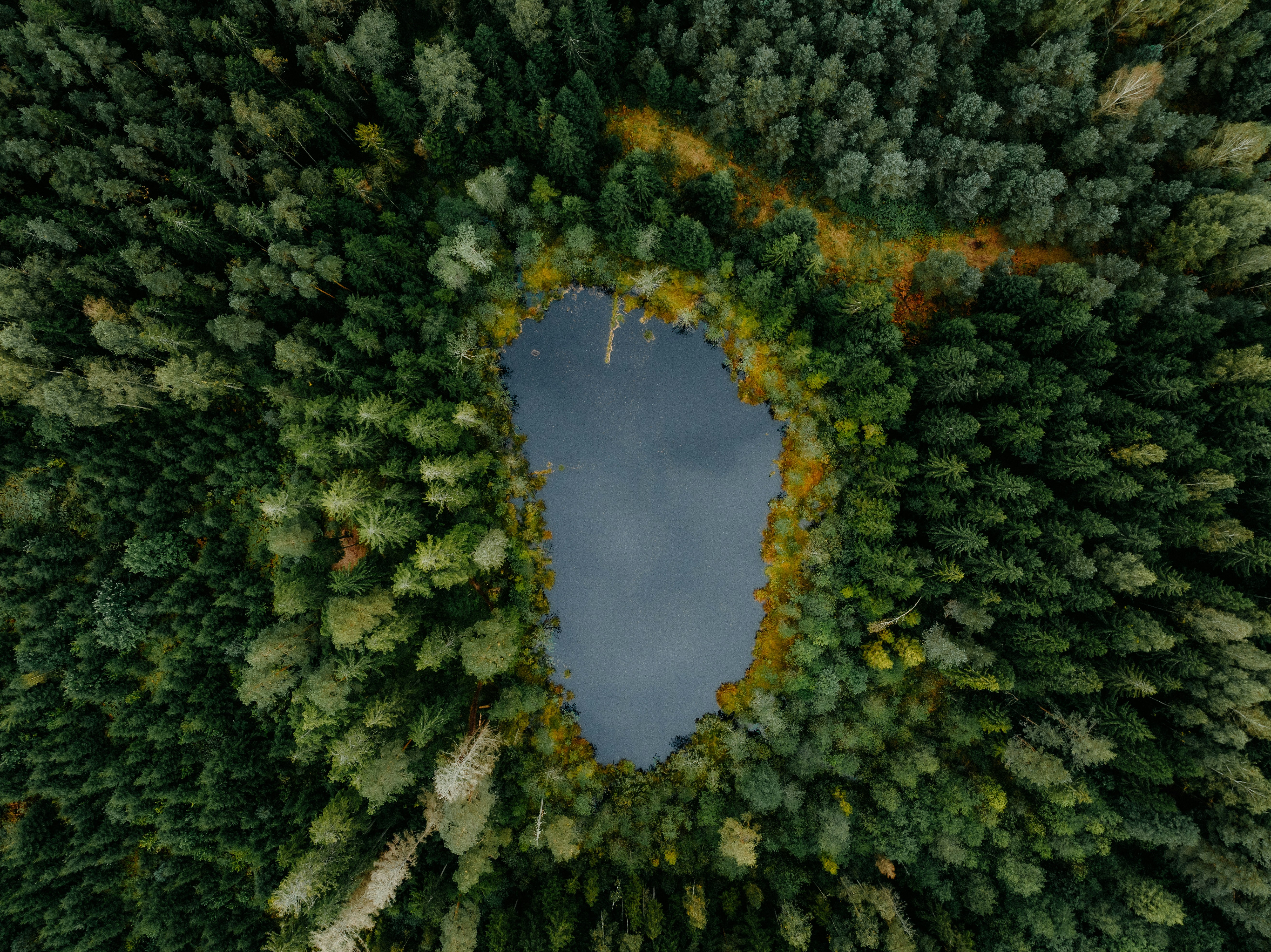 Photo by kristapsungurs