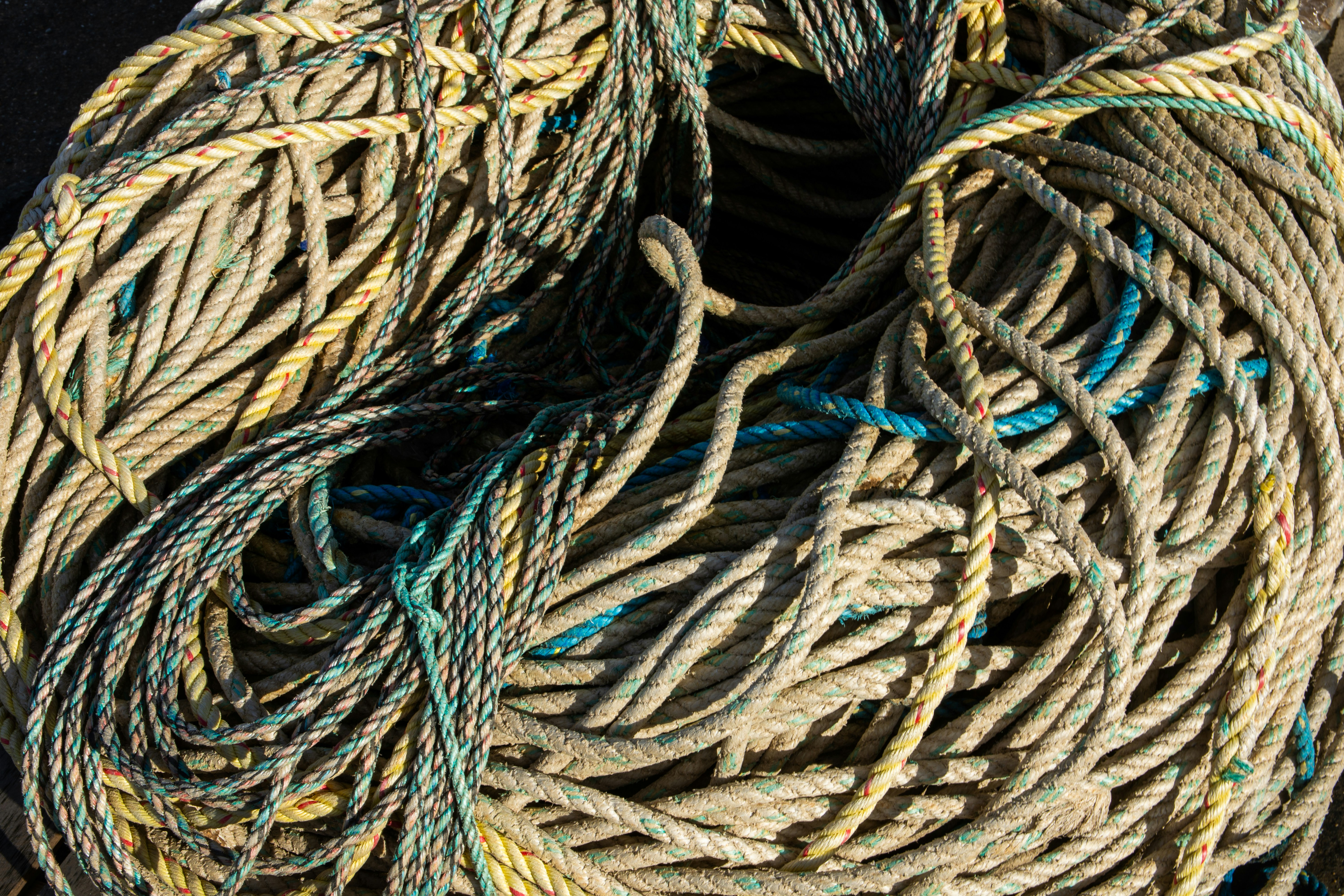 Photo by maplerockdesign