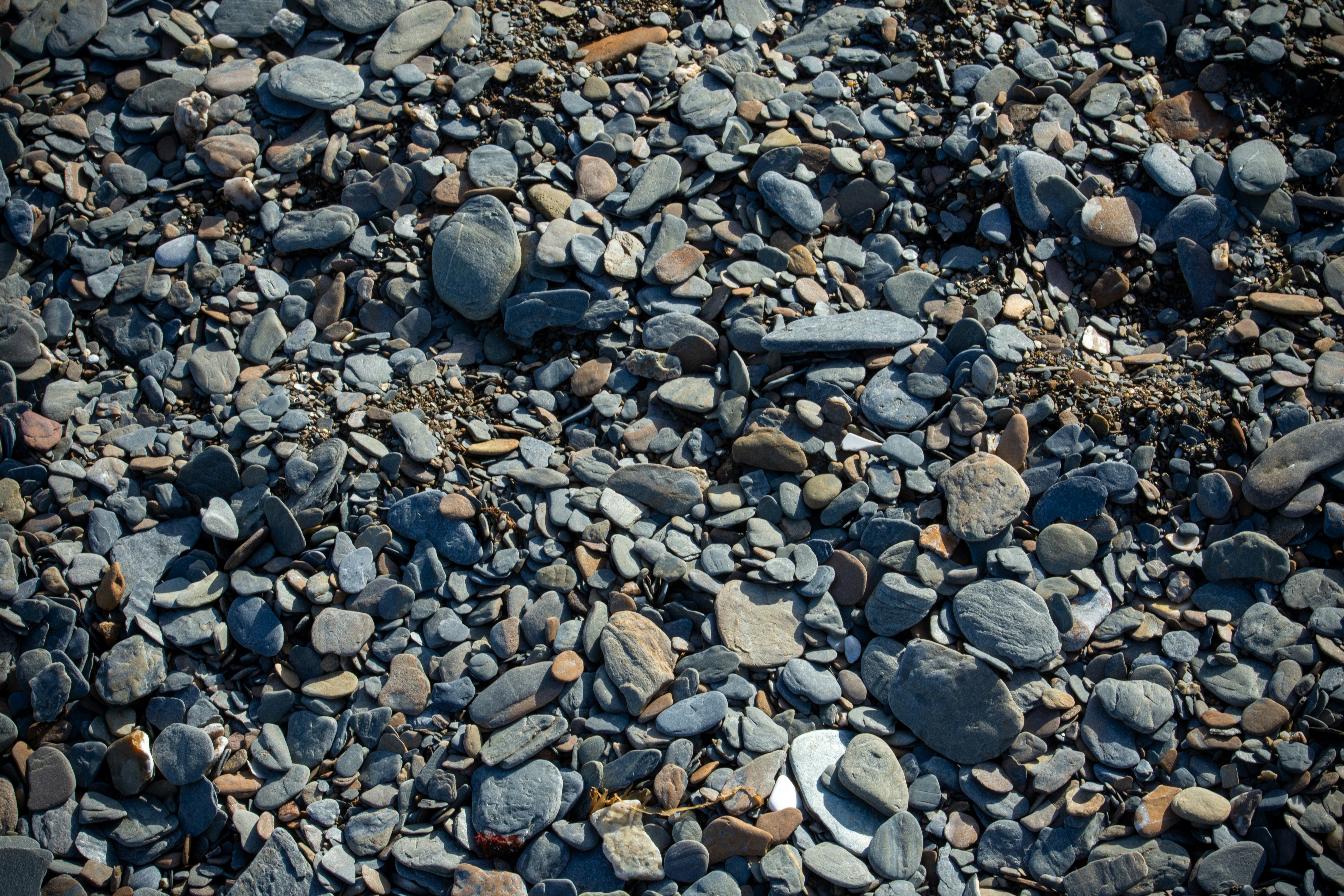 A close-up view of many small, smooth stones.