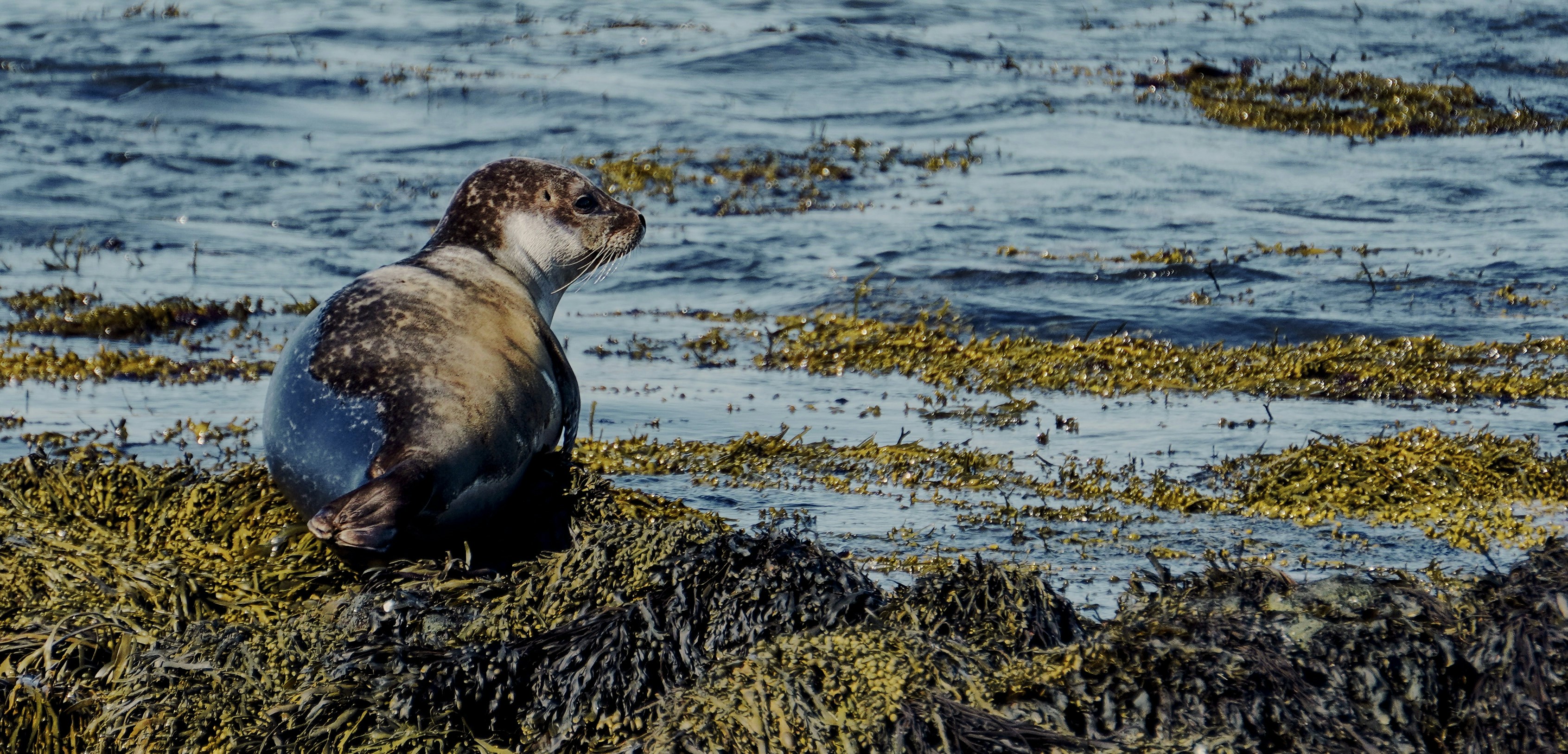 Photo by worldchris75