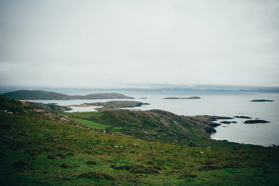 The image depicts a serene landscape with a lush green hillside dotted with small shrubs and trees, overlooking a vast expanse of water that stretches out to meet the horizon. The sky above is overcast, casting a soft light over the scene. In the distance, several islands can be seen, adding depth and scale to the image.