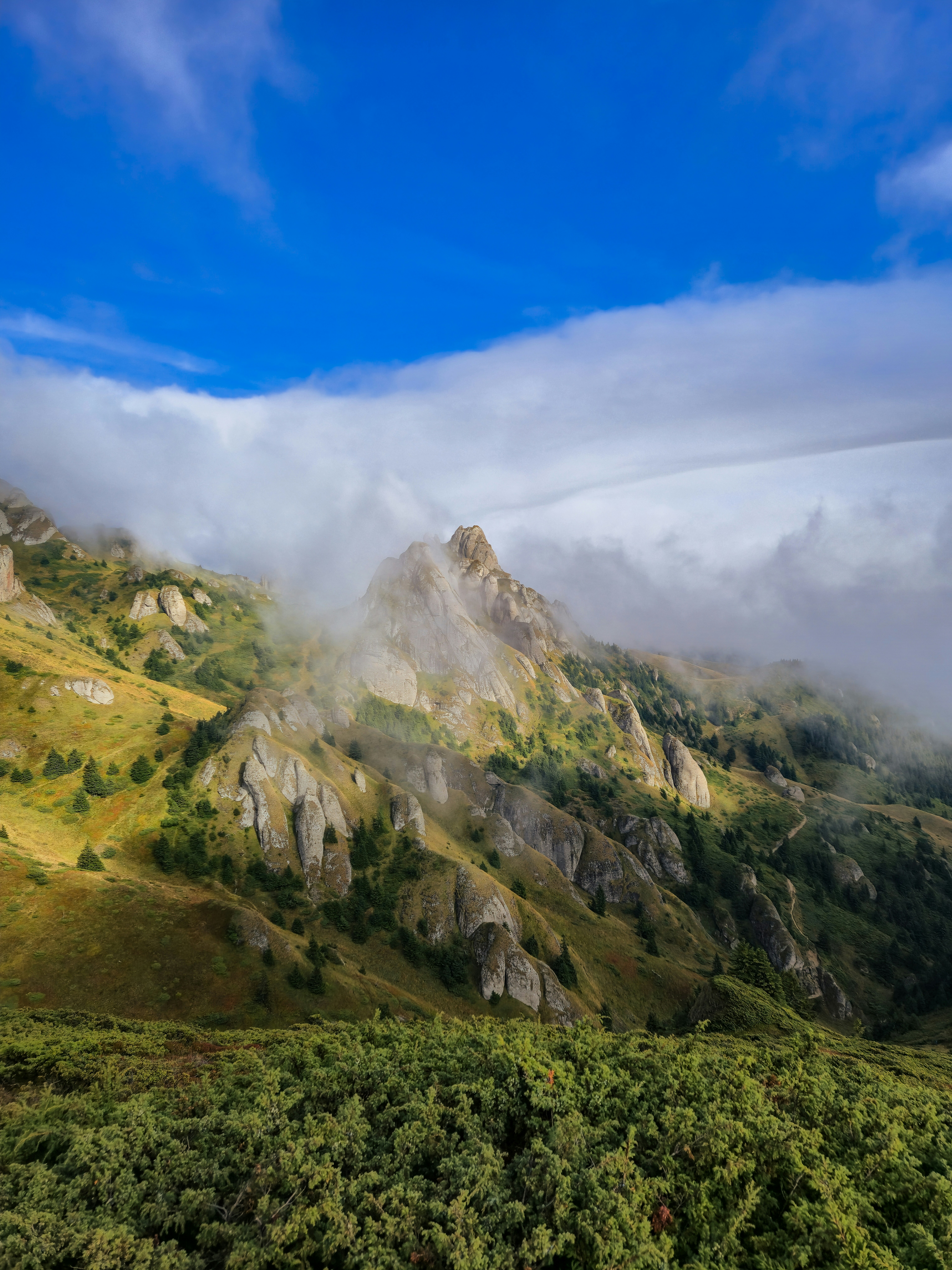 Photo by mirceadrian