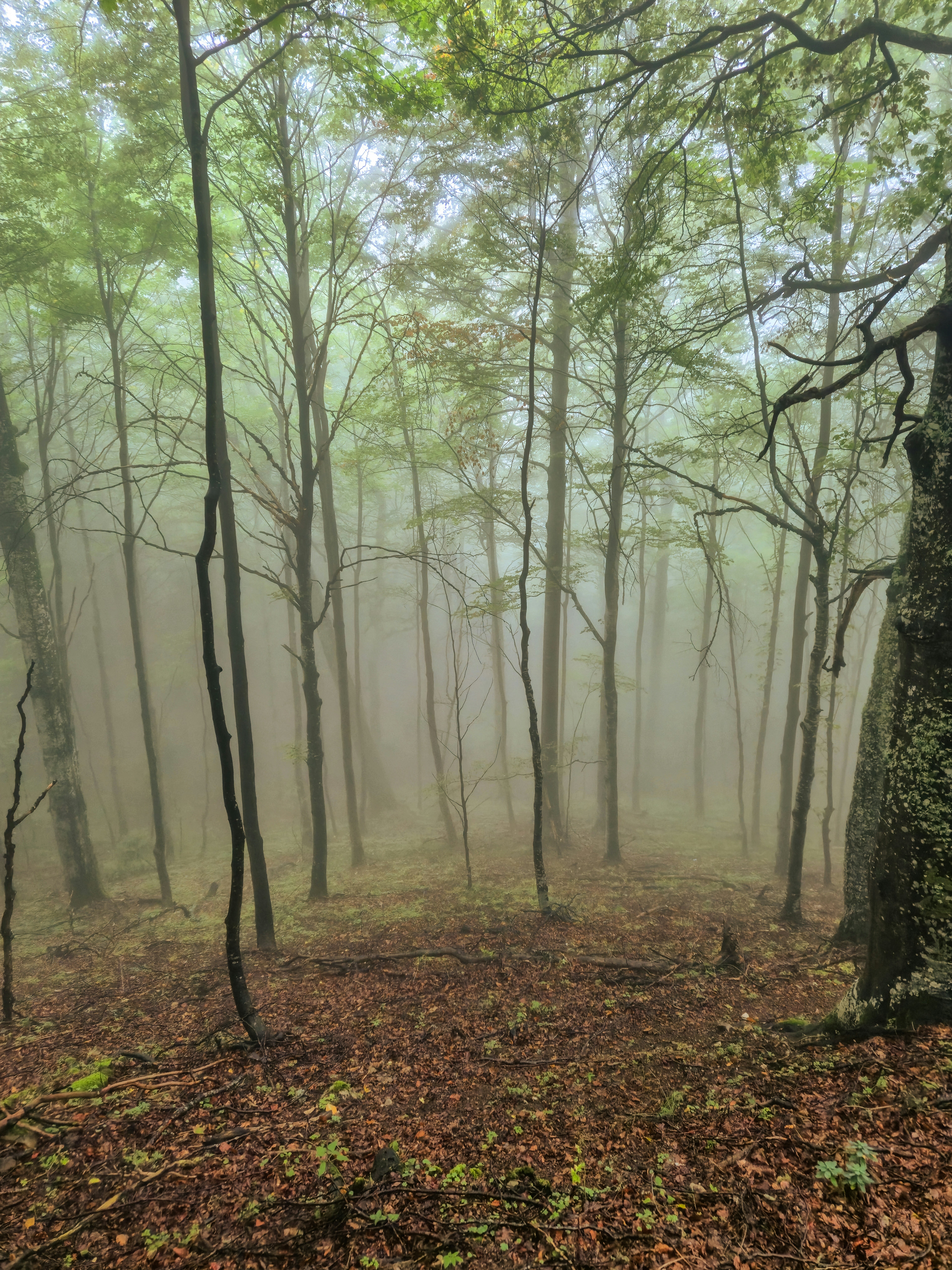 Photo by mirceadrian