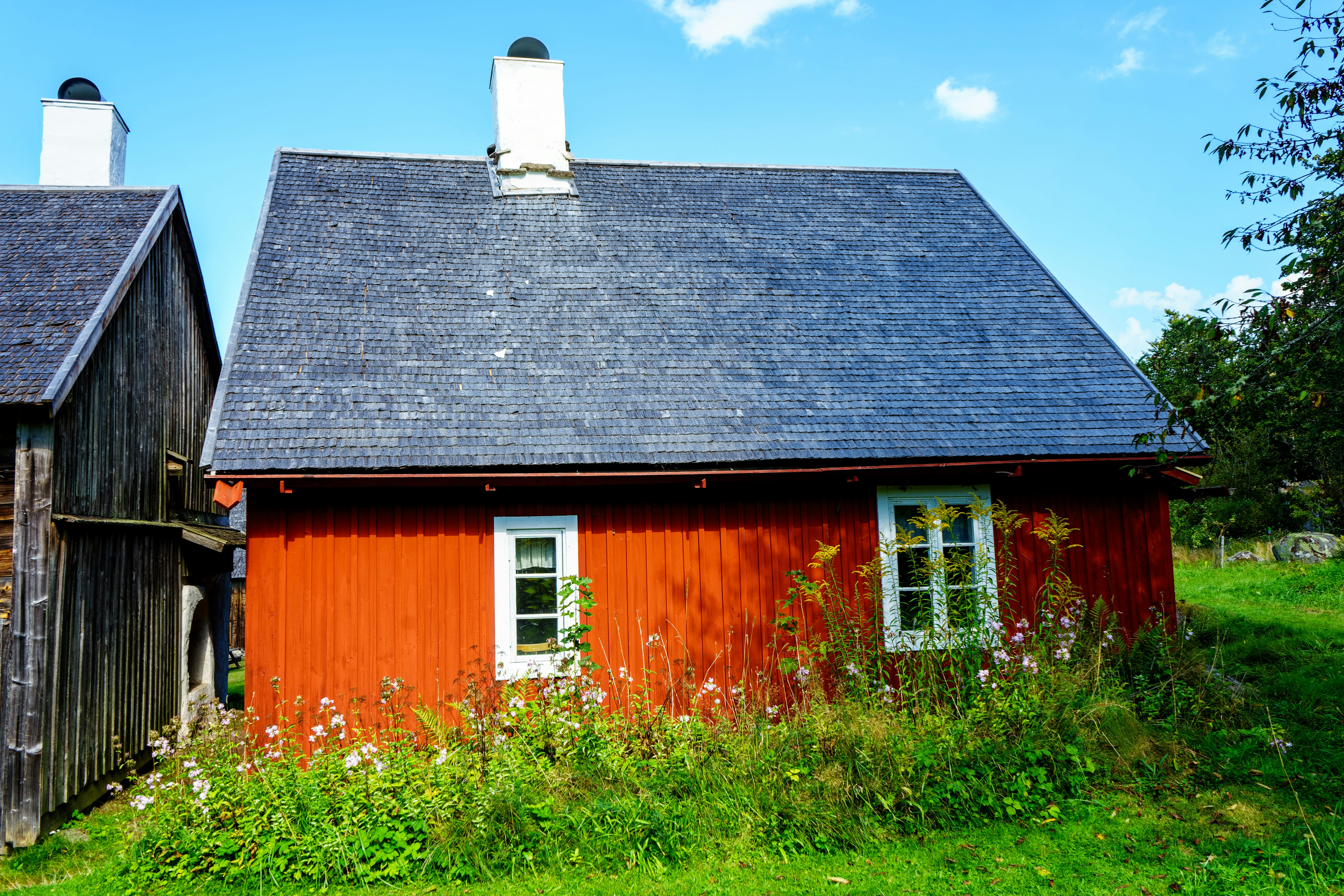 Photo by rasmusandersen