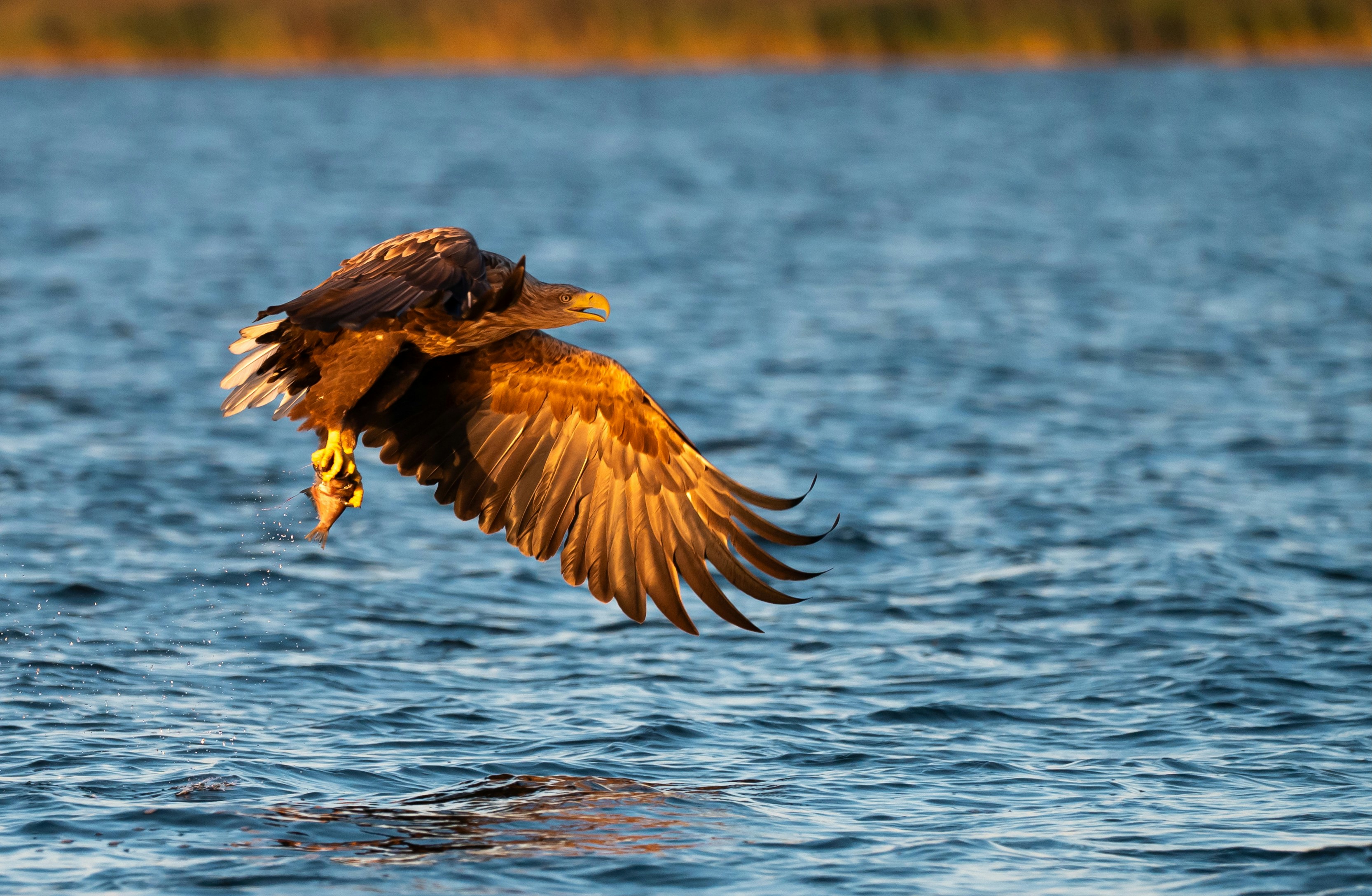 Photo by oj_wildframe