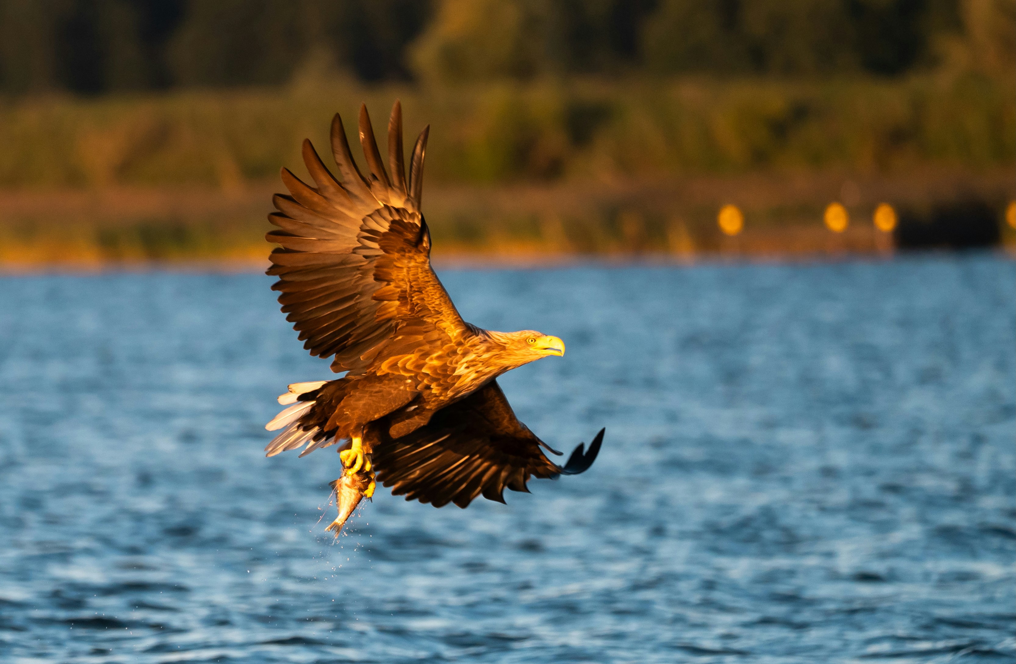 Photo by oj_wildframe