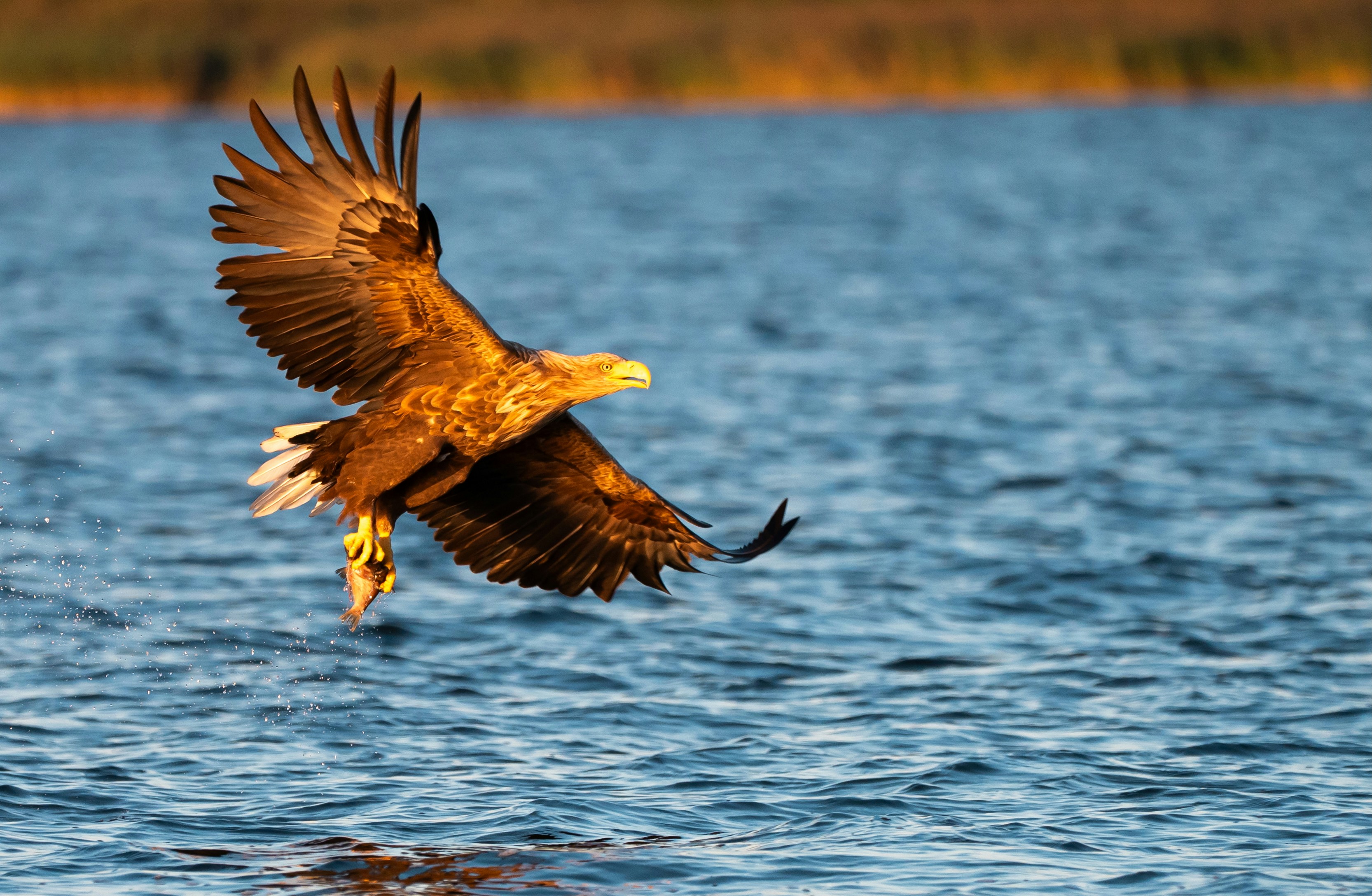 Photo by oj_wildframe