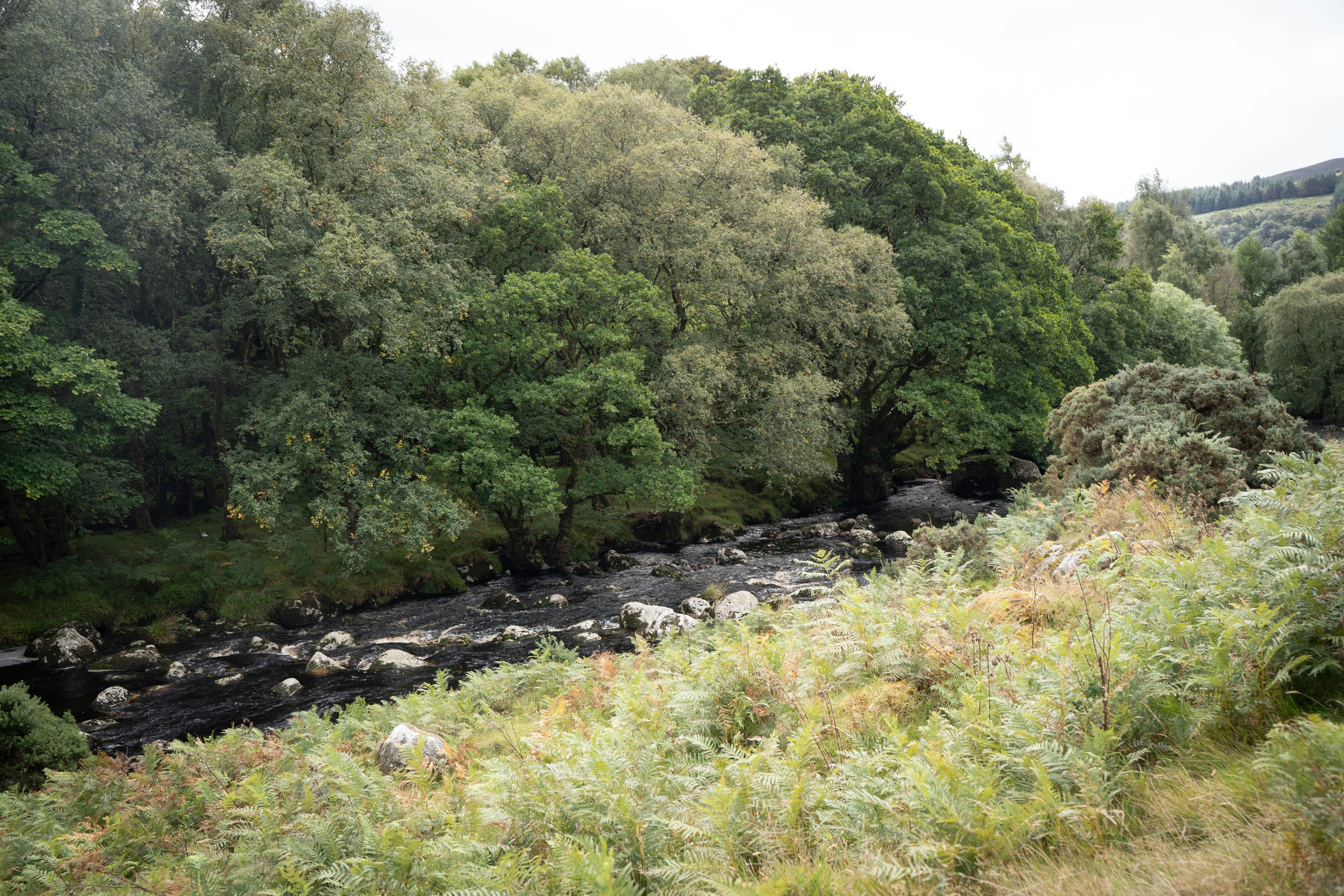 Photo by franceeesca_f