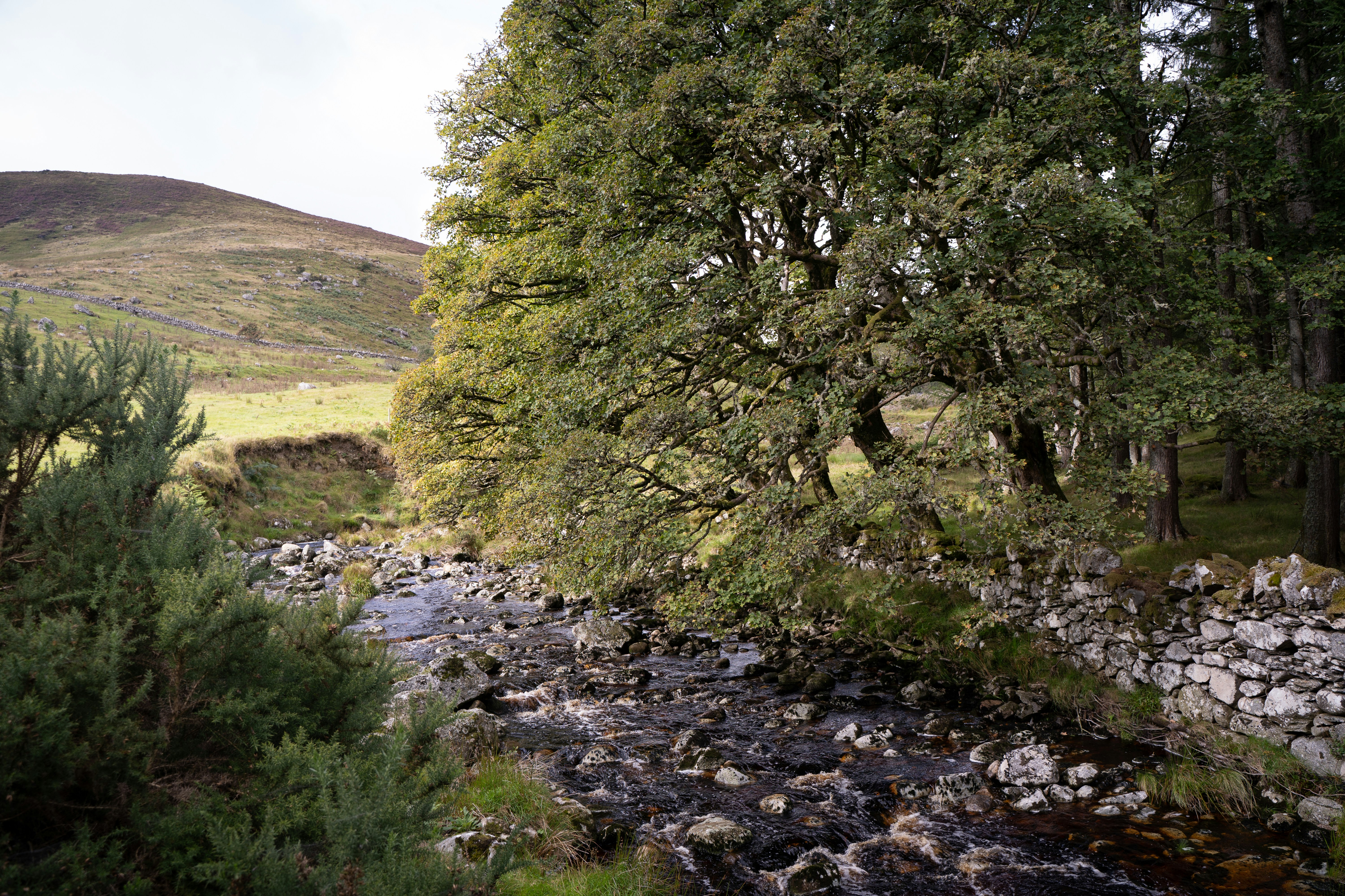 Photo by franceeesca_f