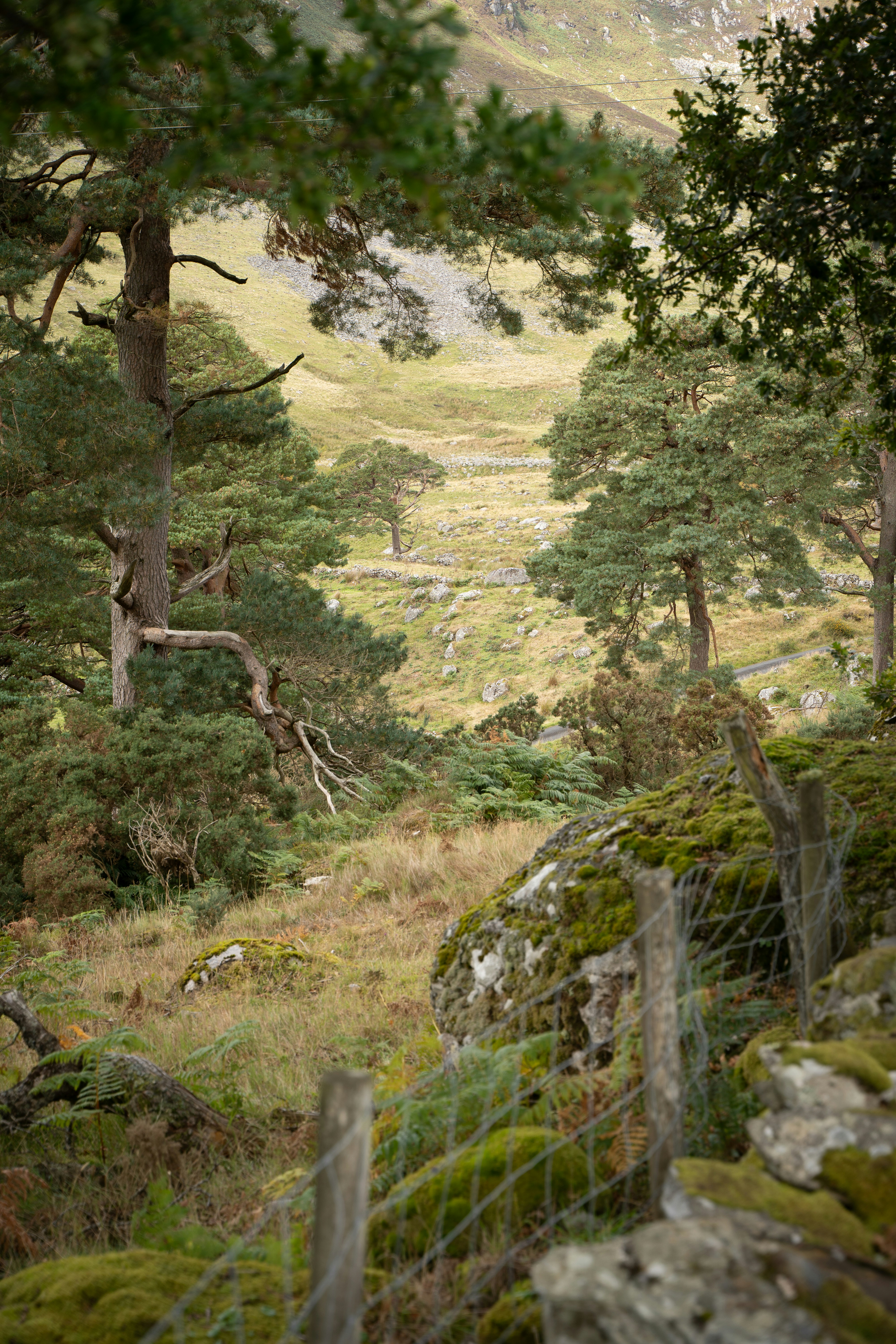 Photo by franceeesca_f