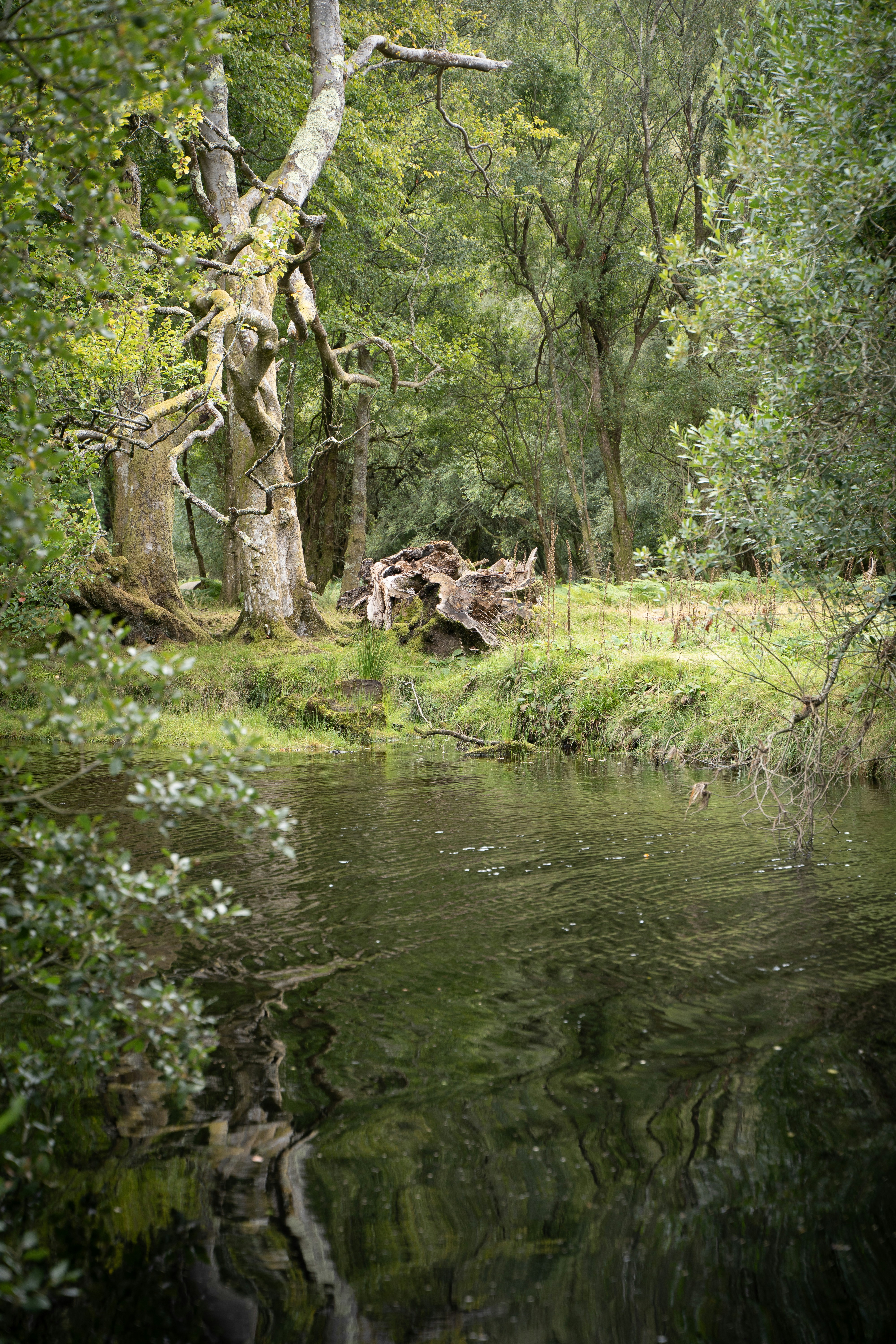 Photo by franceeesca_f