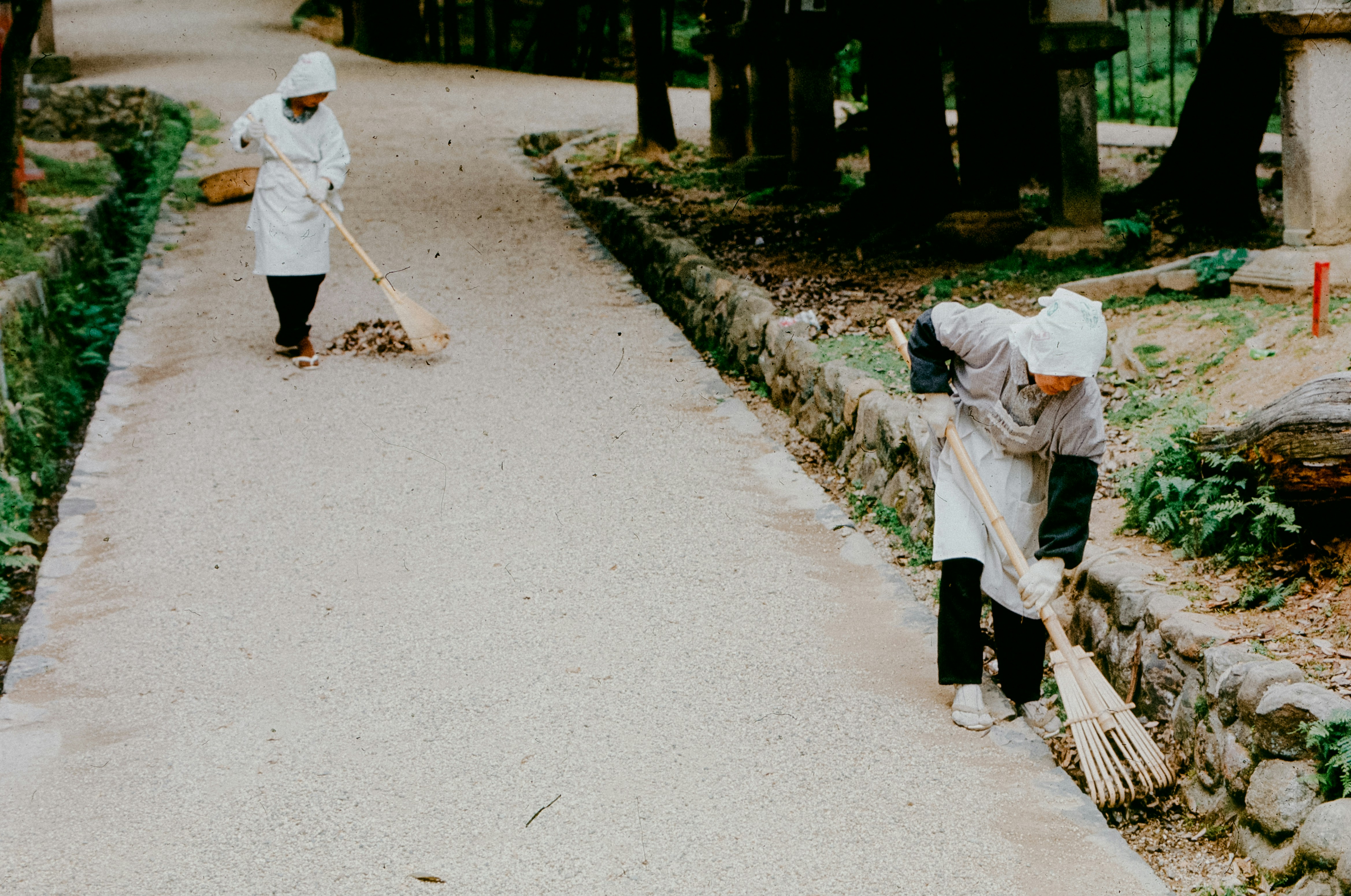 Two people sweeping a path in a park.