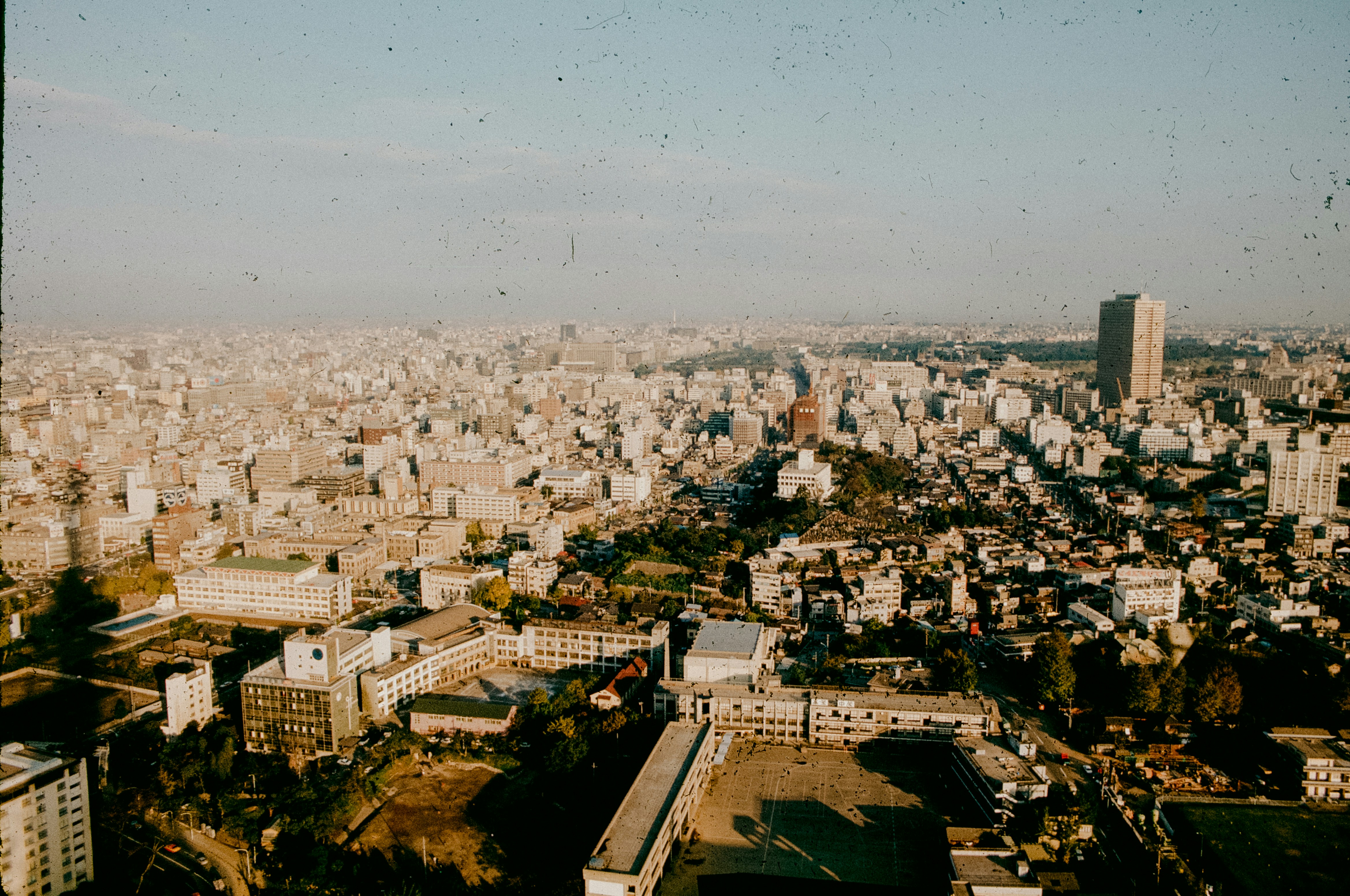 Photo by anniespratt