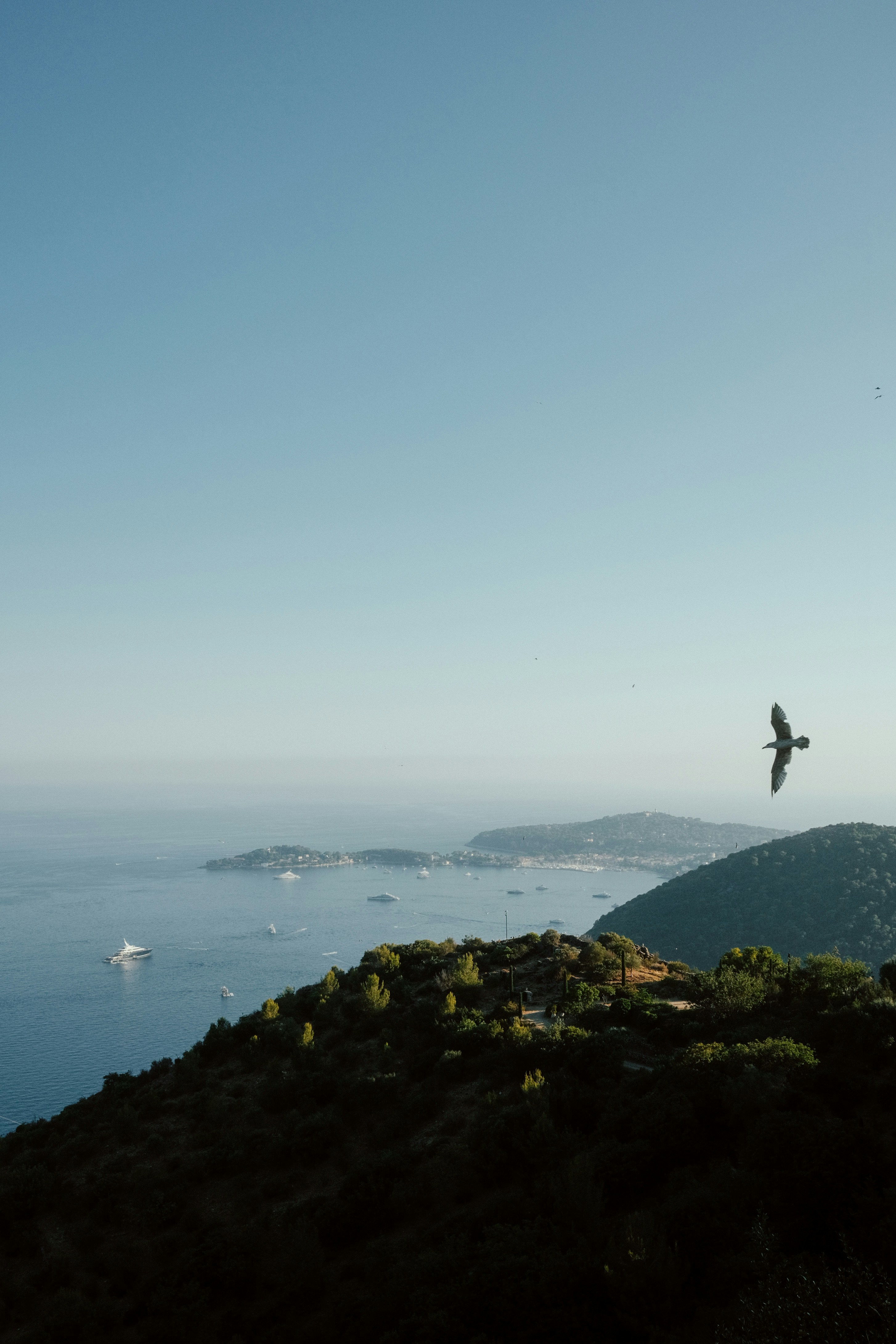 Uccello che sorvola un paesaggio costiero con barche.