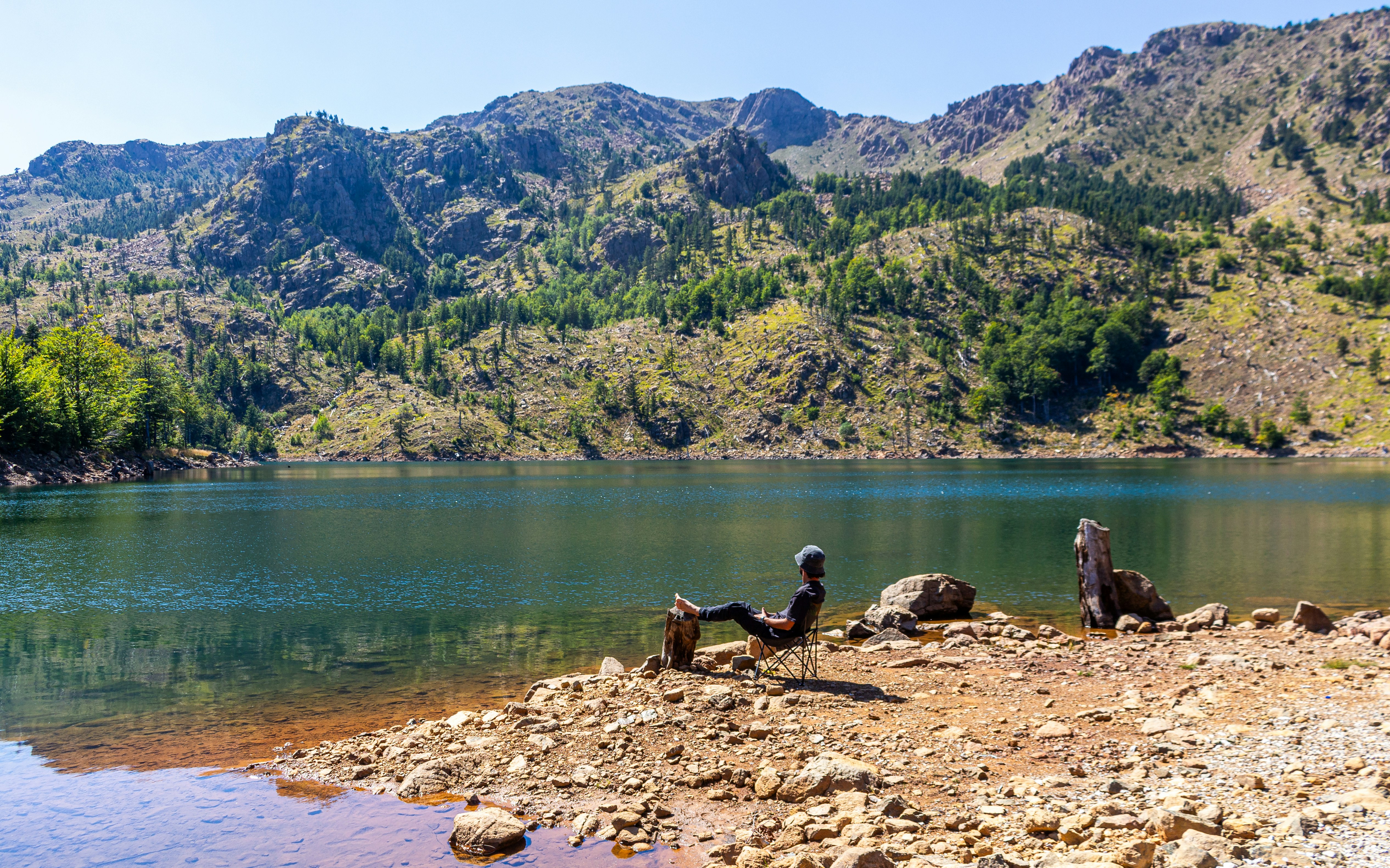Sculptures by a serene mountain lake with forest.
