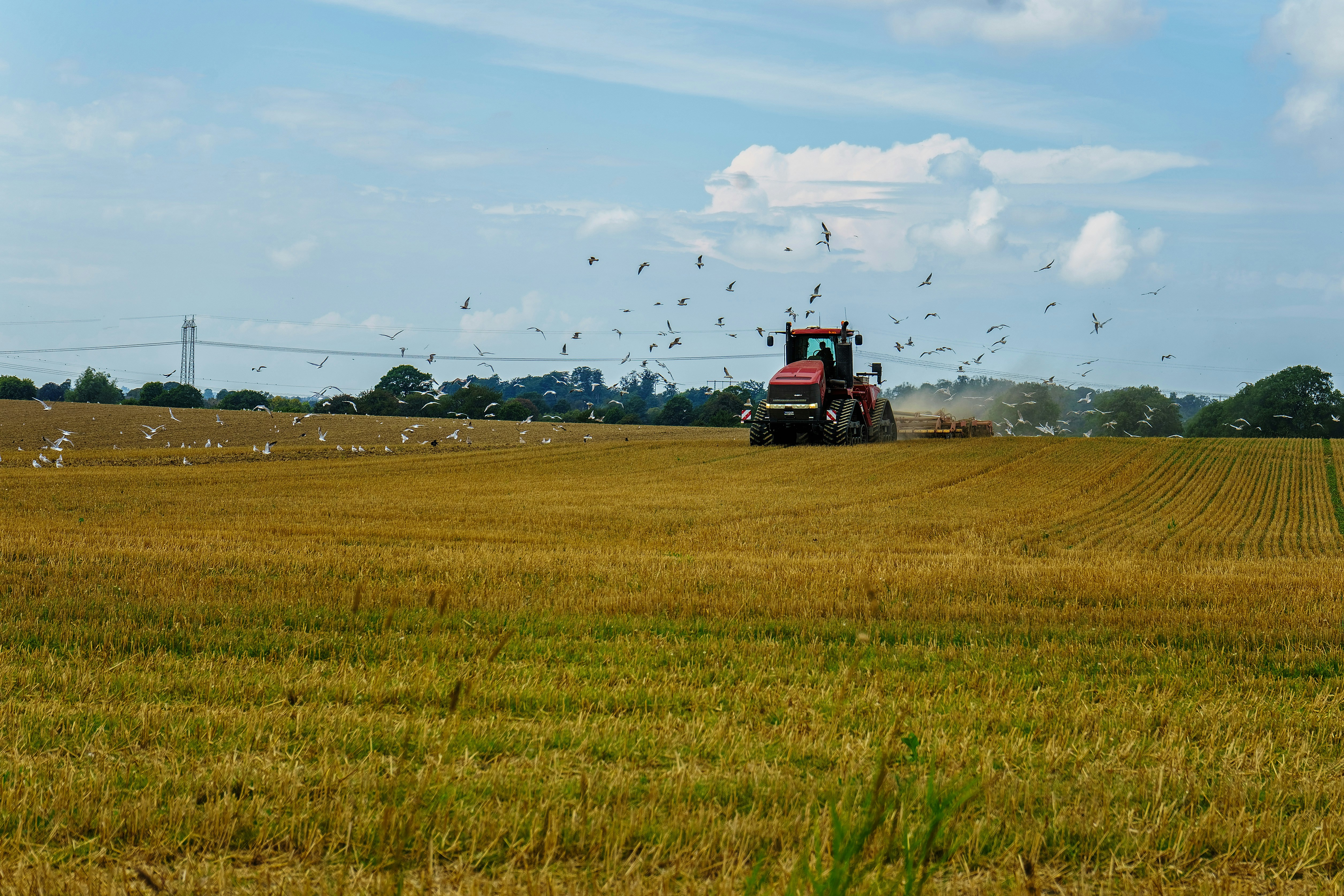 Photo by rasmusandersen