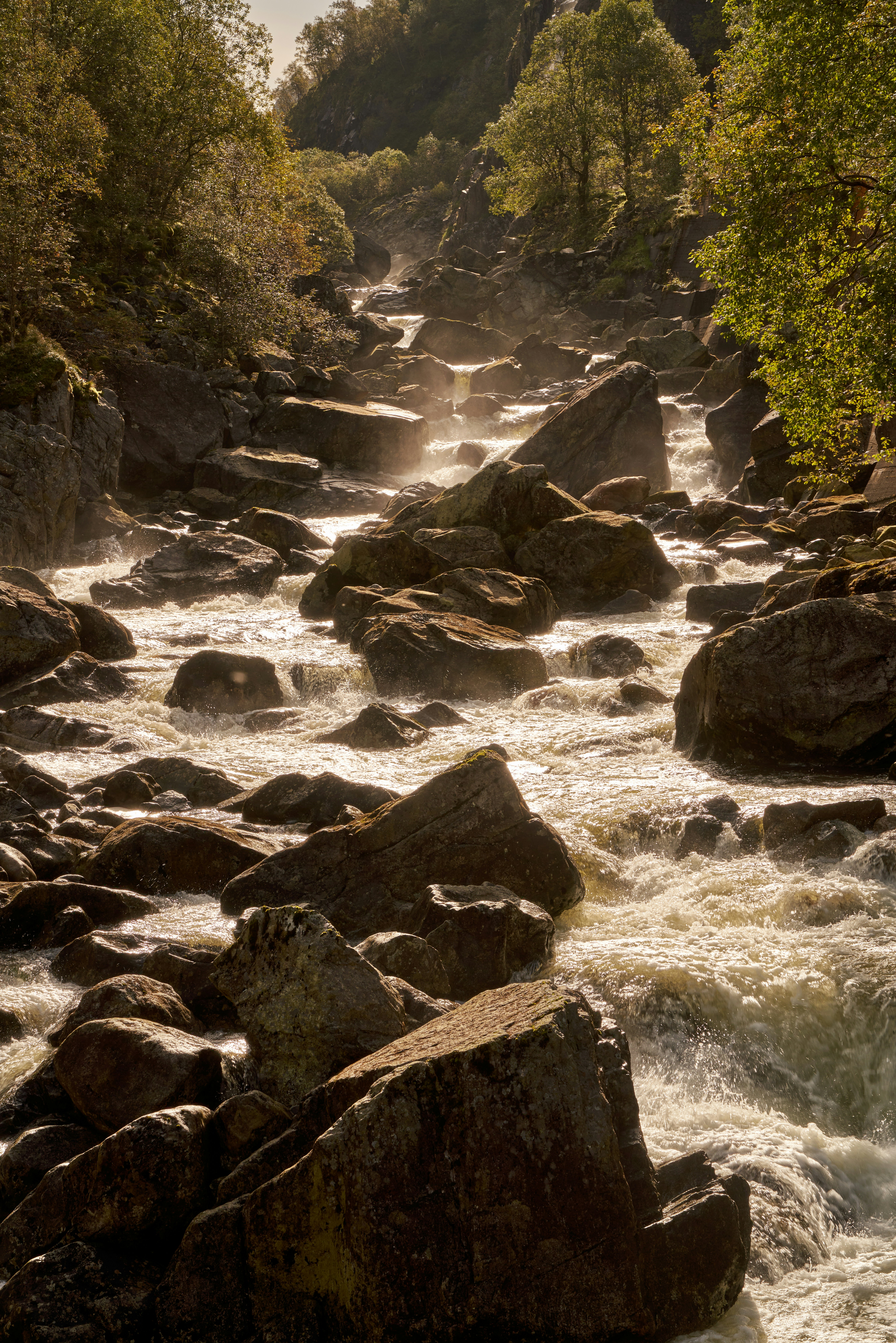 Photo by davotibarna